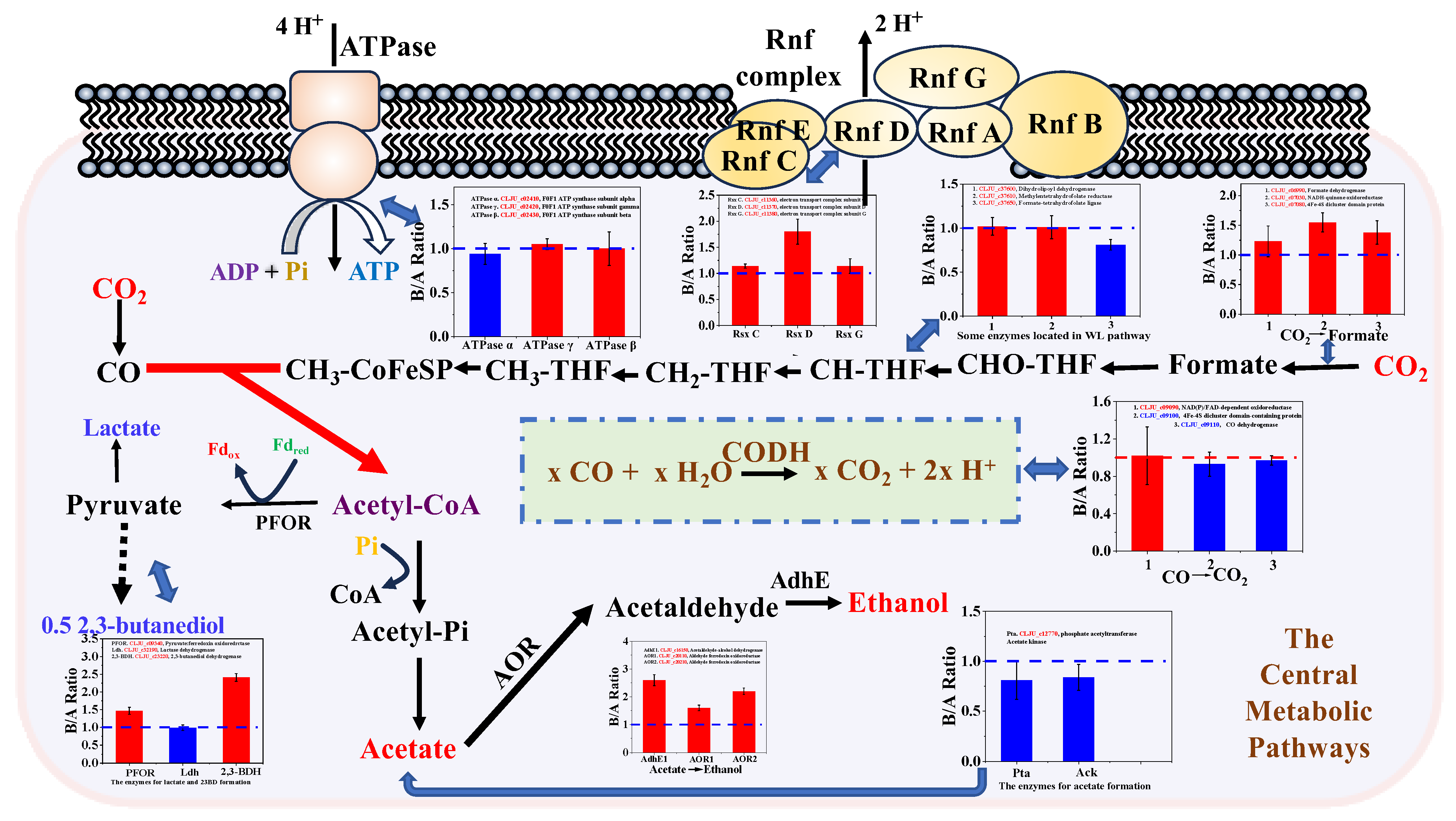 Fermentation 11 00154 g006
