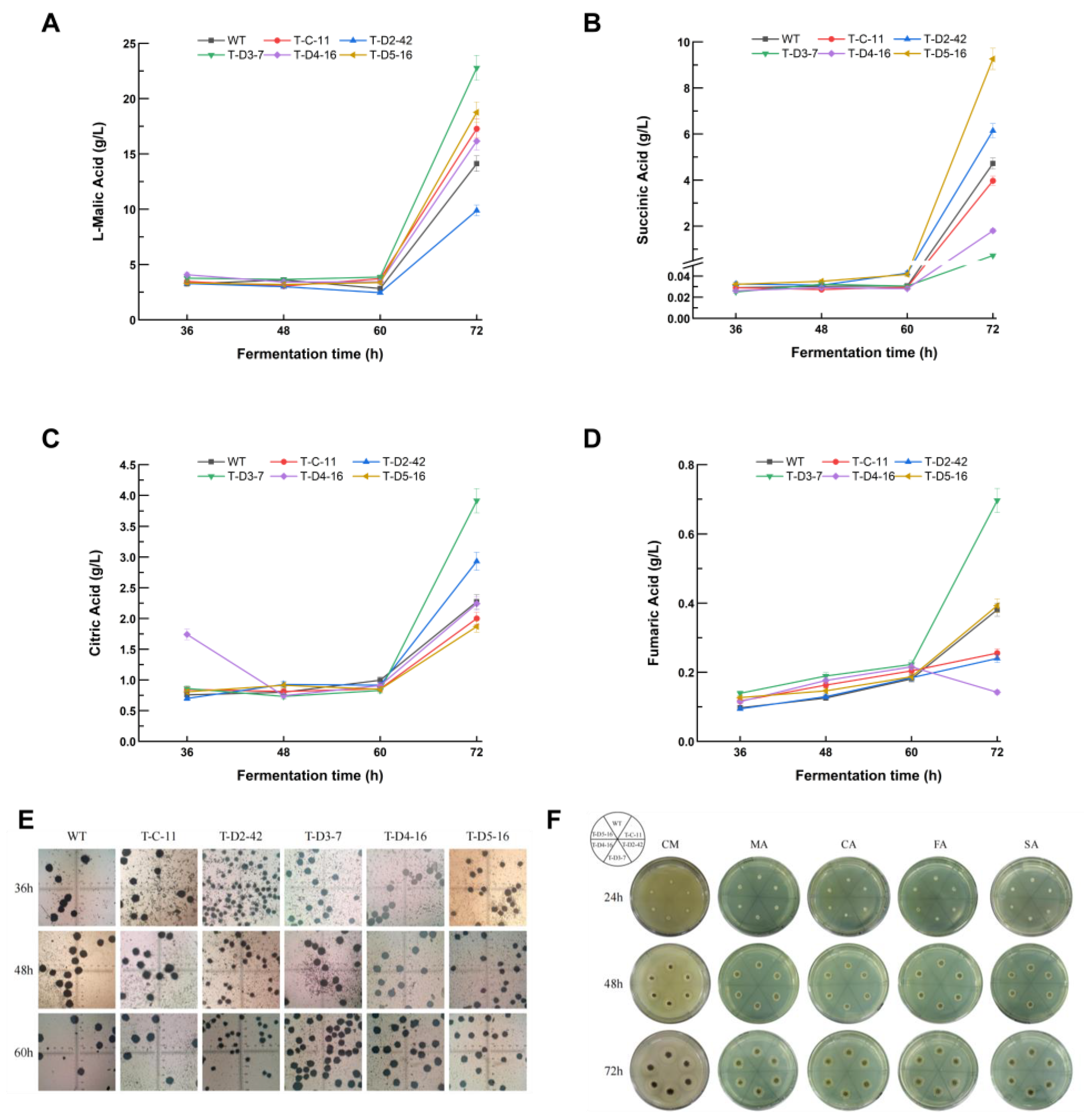 Fermentation 11 00156 g005