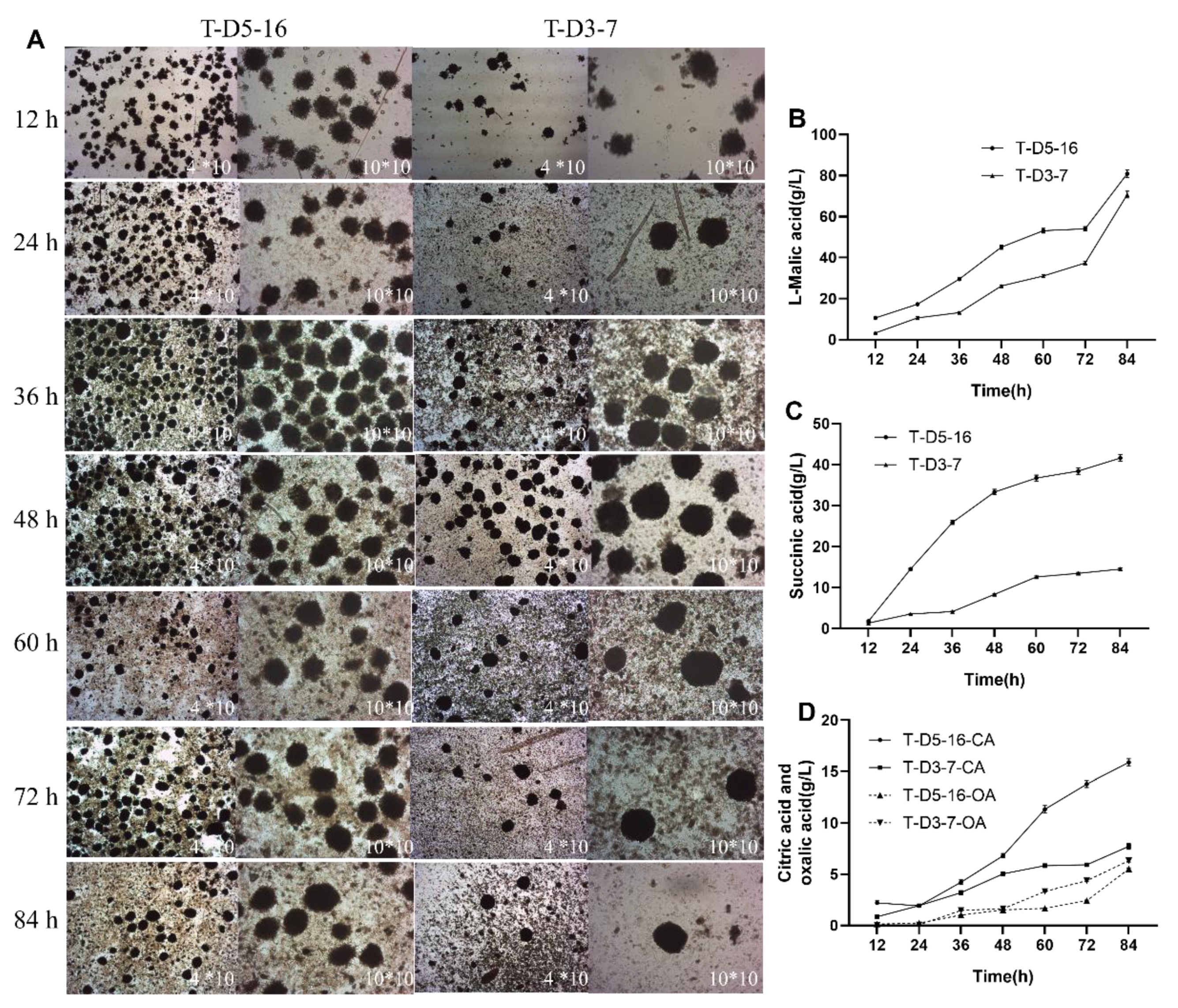 Fermentation 11 00156 g007