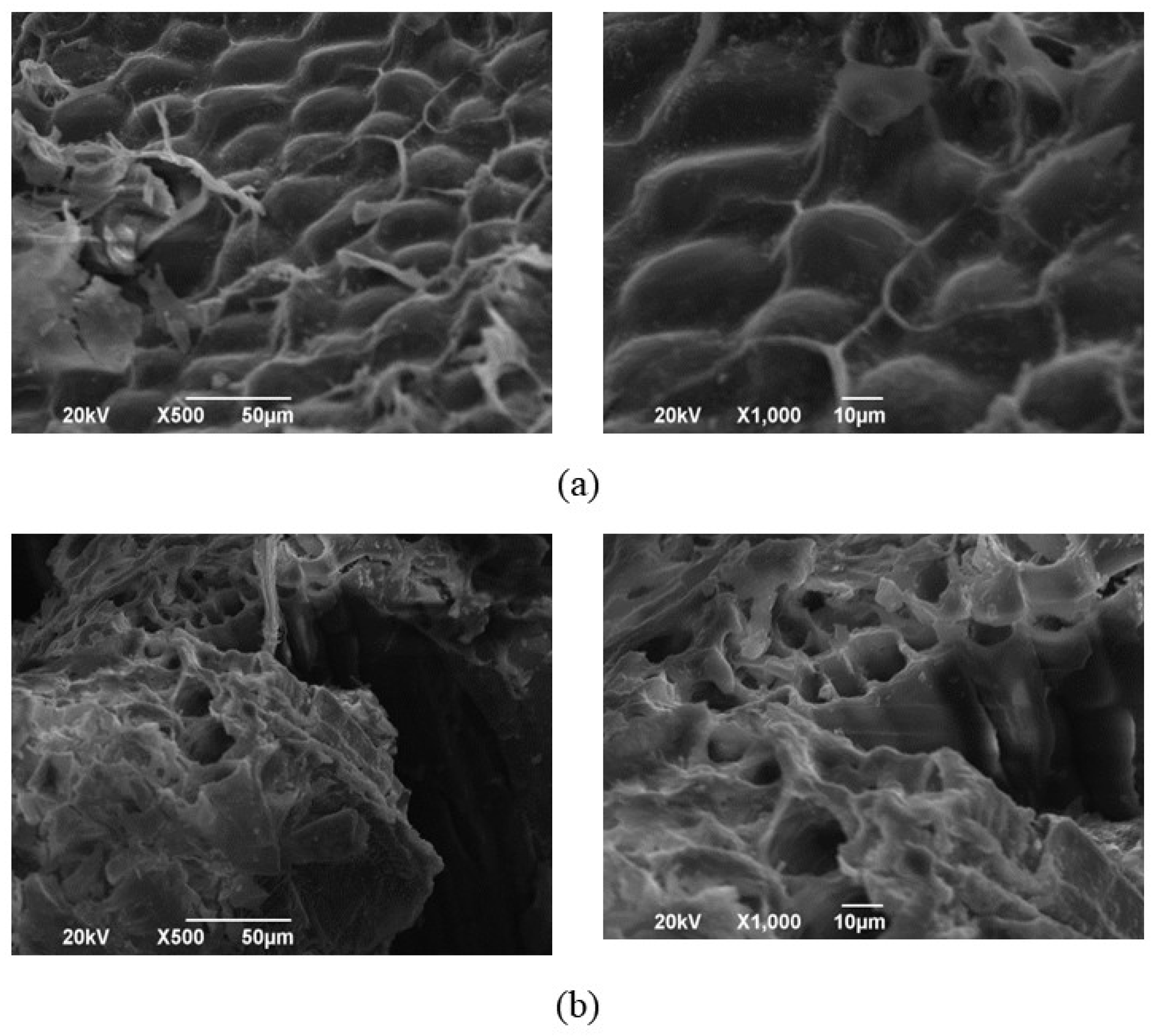 Fermentation 11 00157 g002