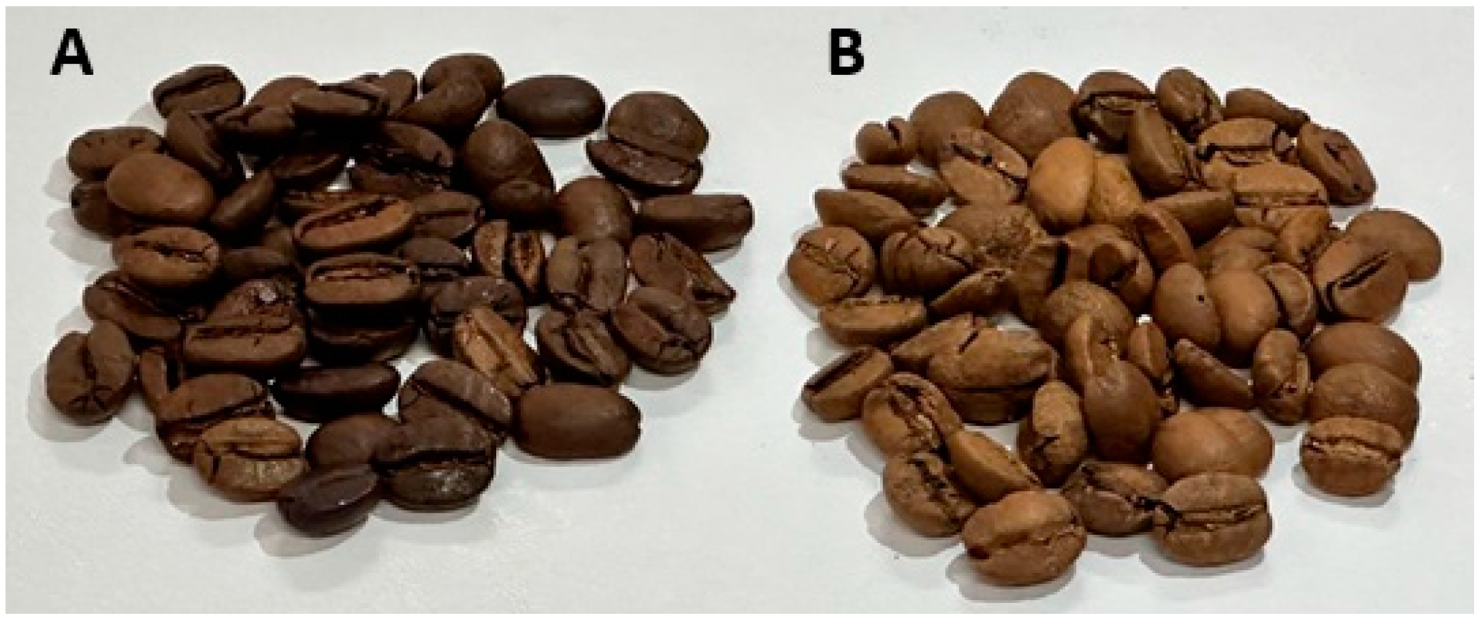 Fermentation 11 00158 g001