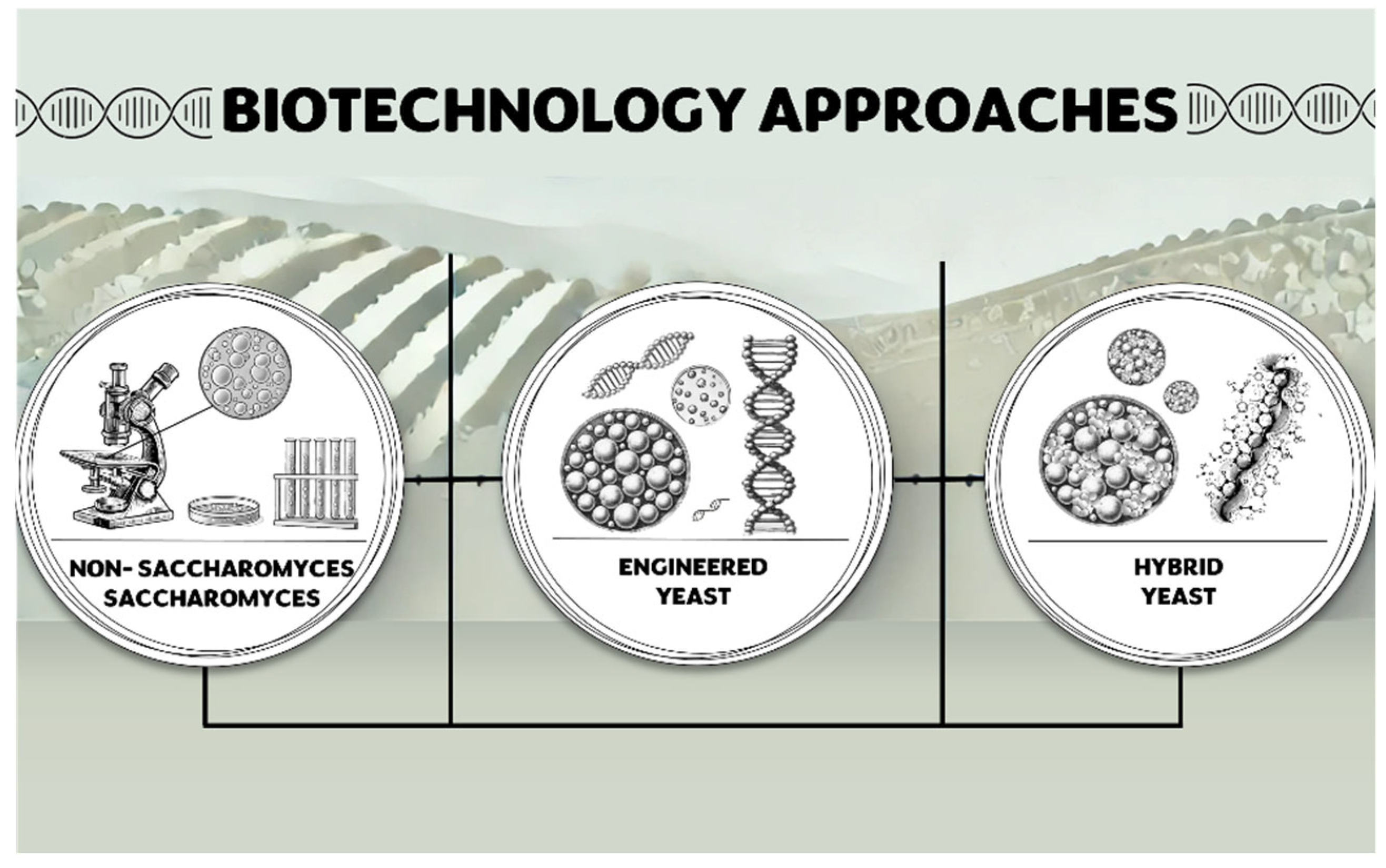 Fermentation 11 00159 g001