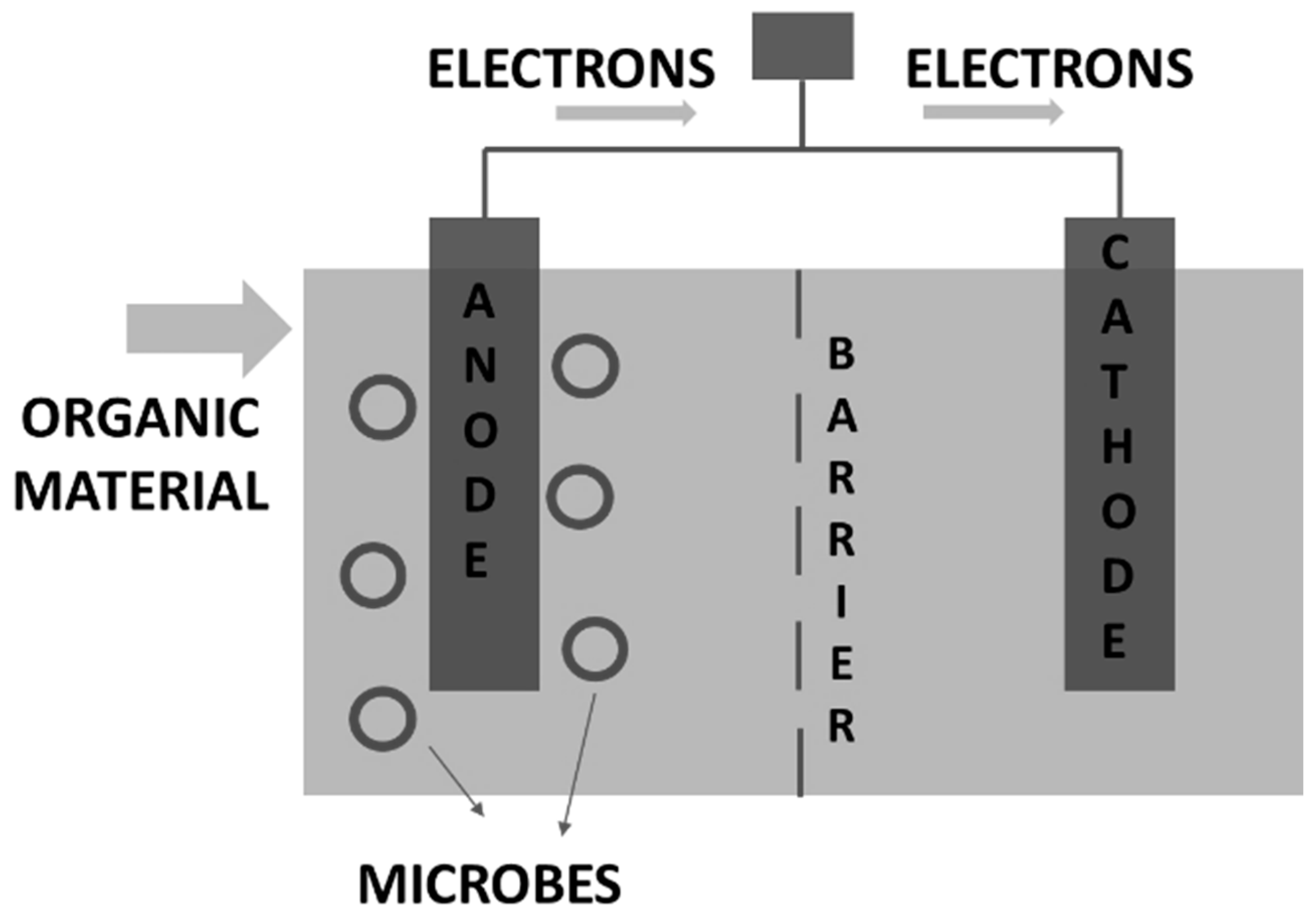 Fermentation 11 00162 g002