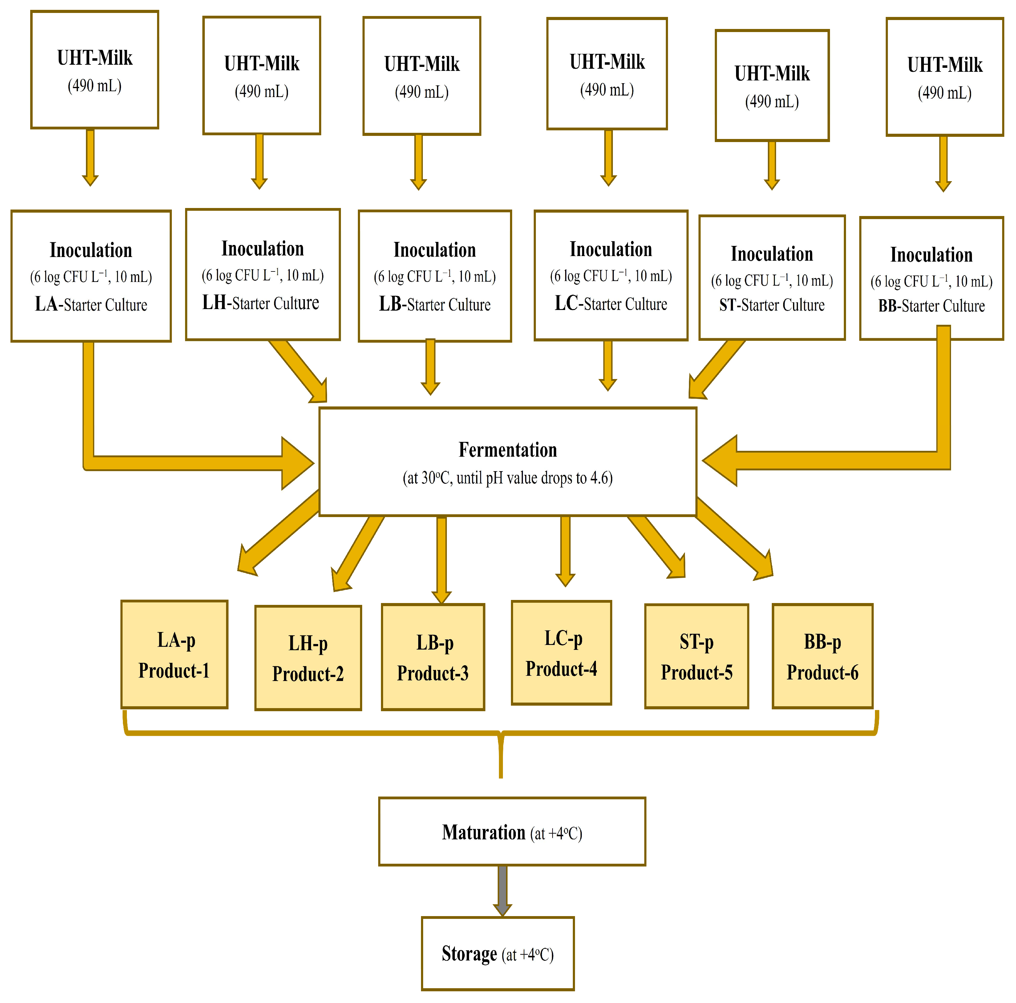 Fermentation 11 00165 g001
