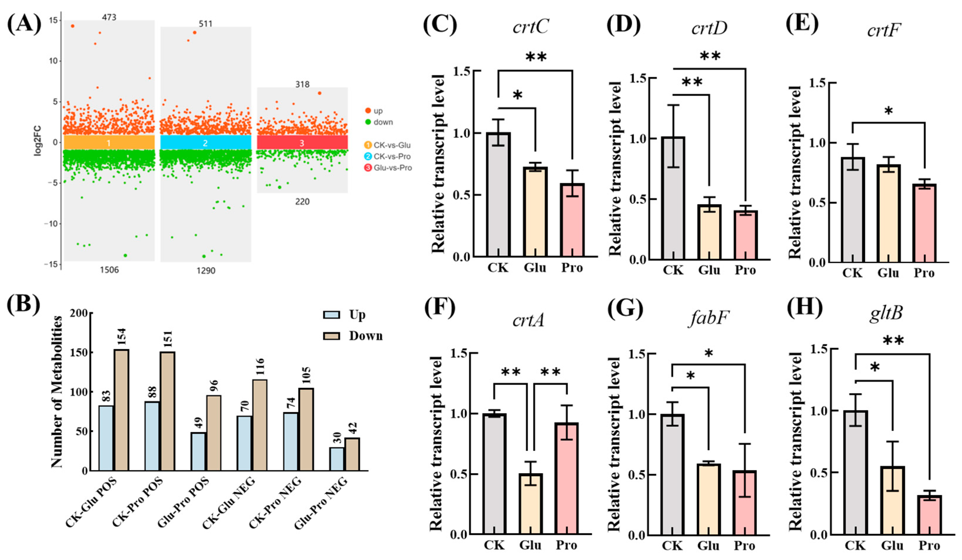 Enhancing Lycopene Biosynthesis in Cereibacter sphaeroides