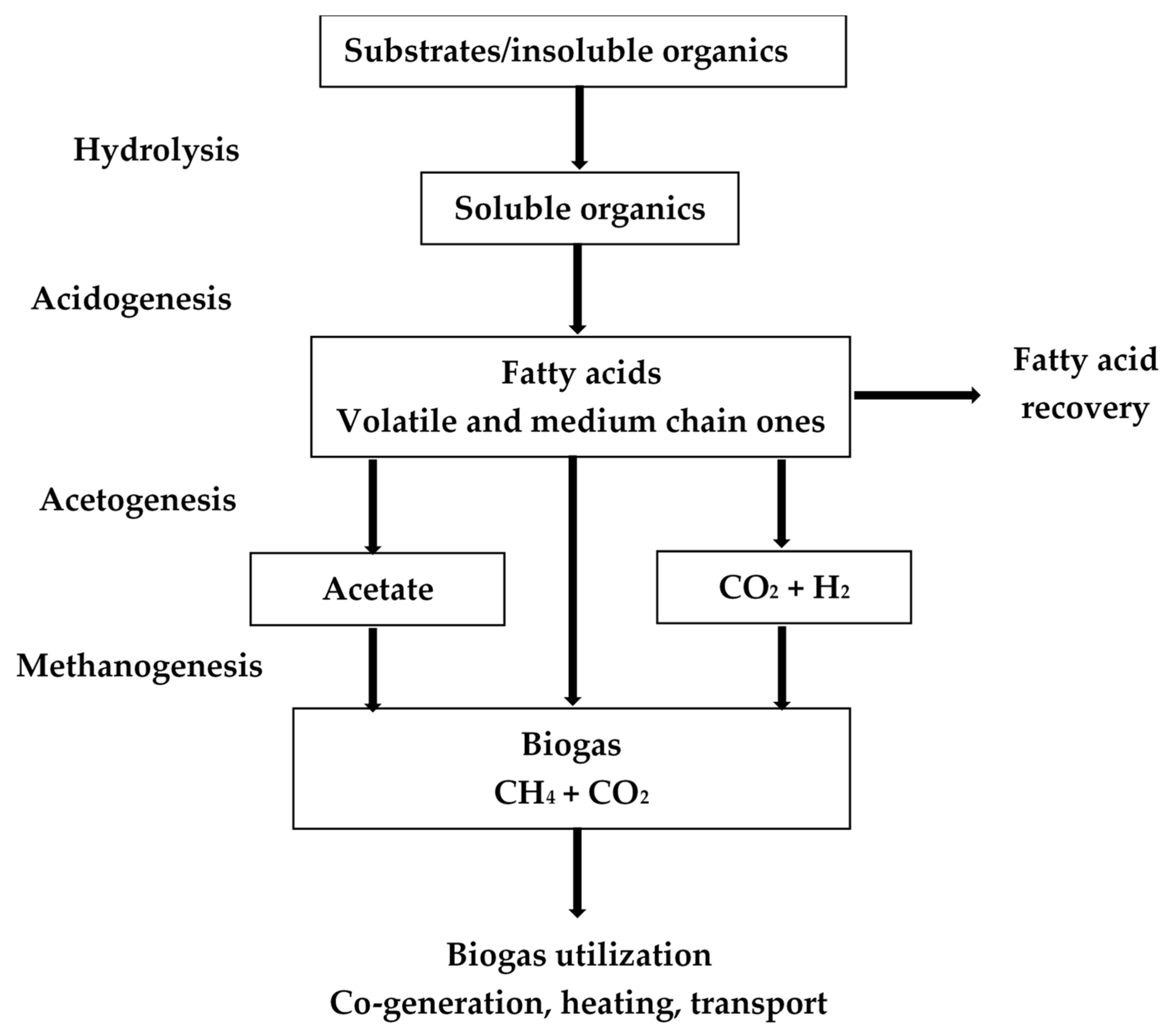 Fermentation 11 00172 g001