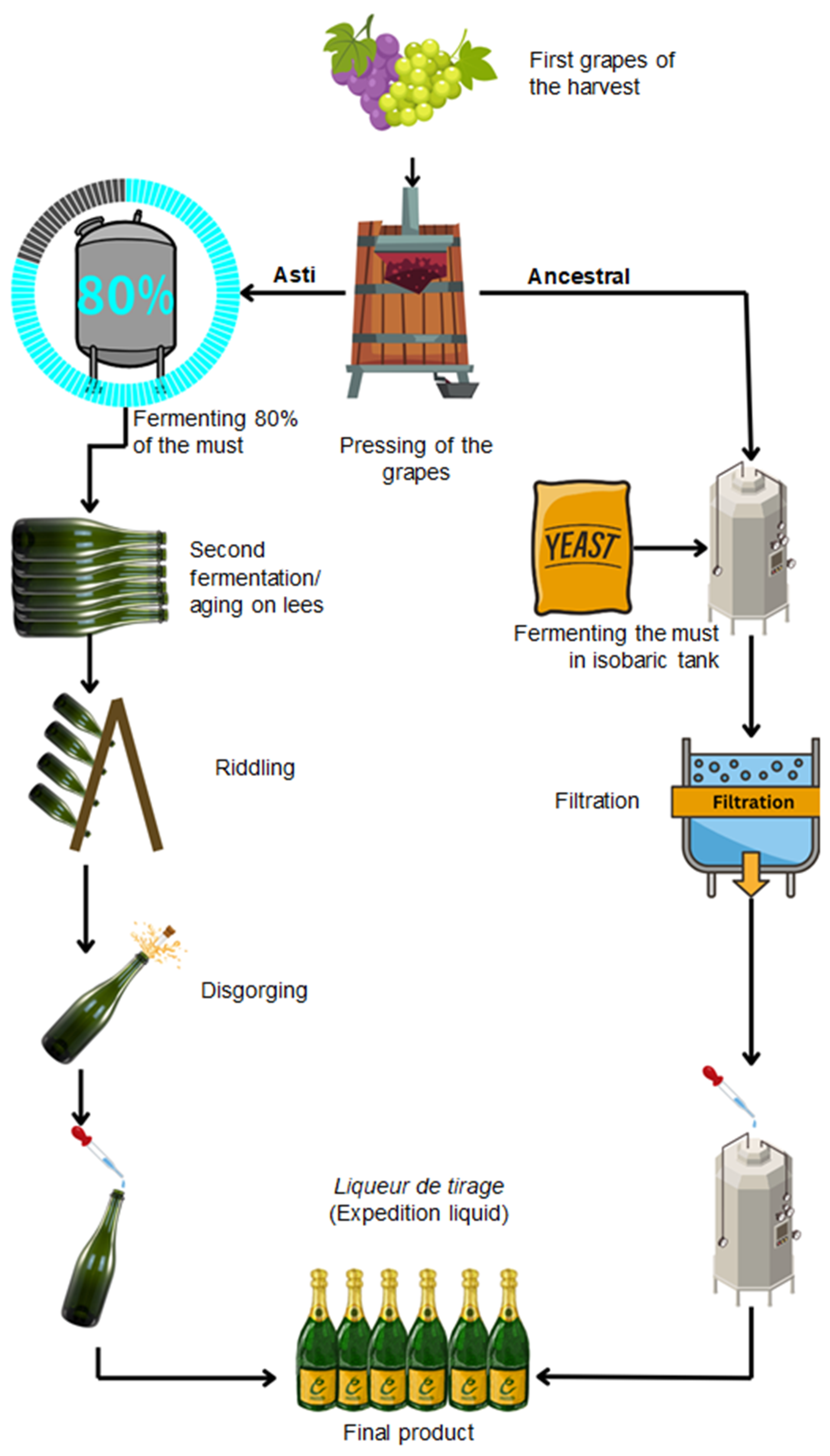 Fermentation 11 00174 g004