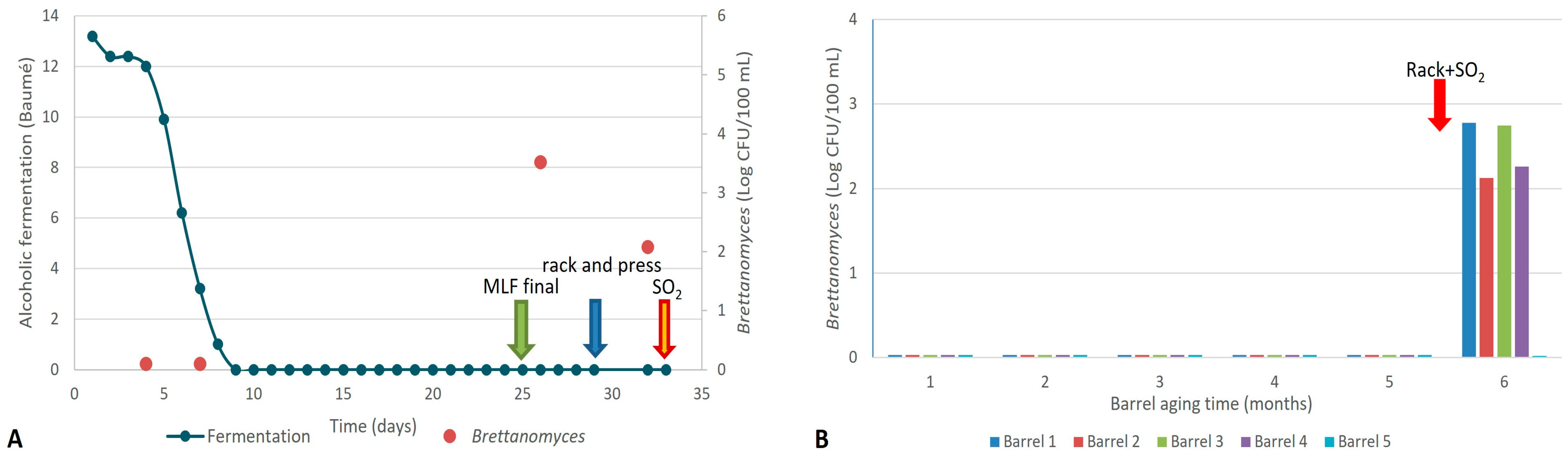Fermentation 11 00175 g003