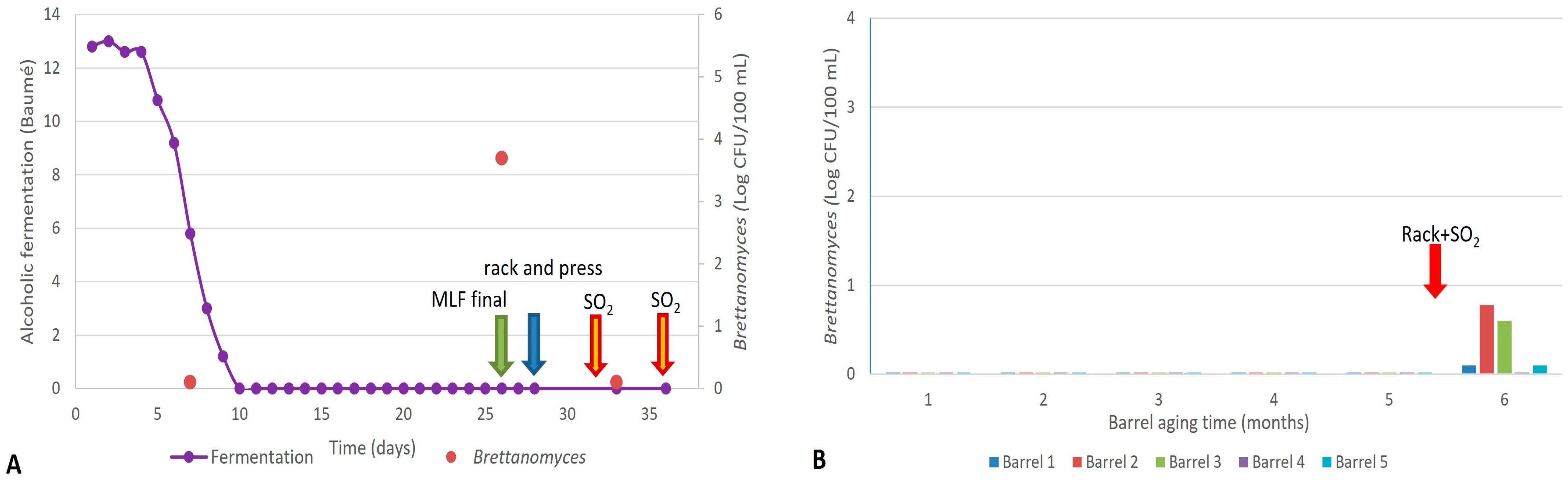 Fermentation 11 00175 g004