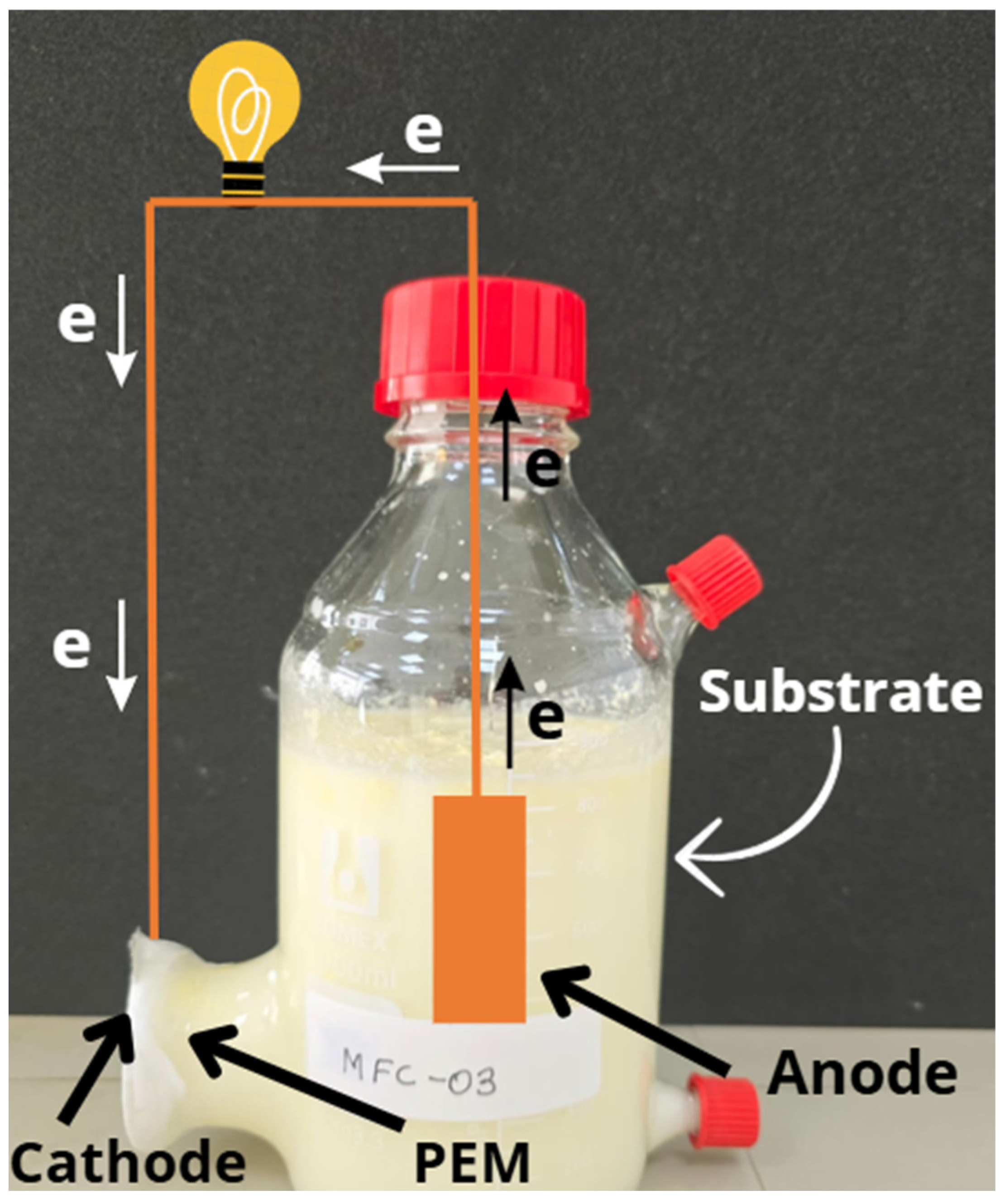 Fermentation 11 00176 g001