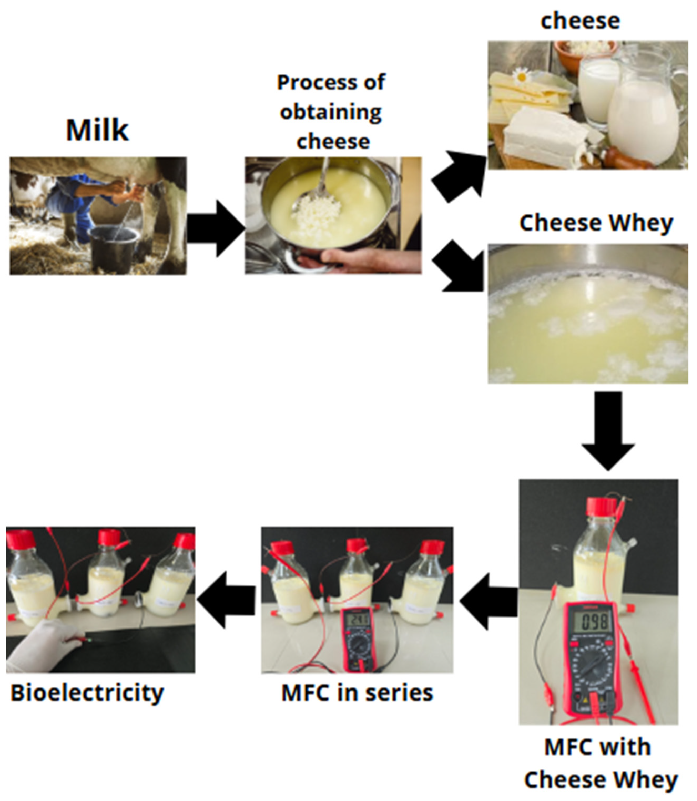 Fermentation 11 00176 g007