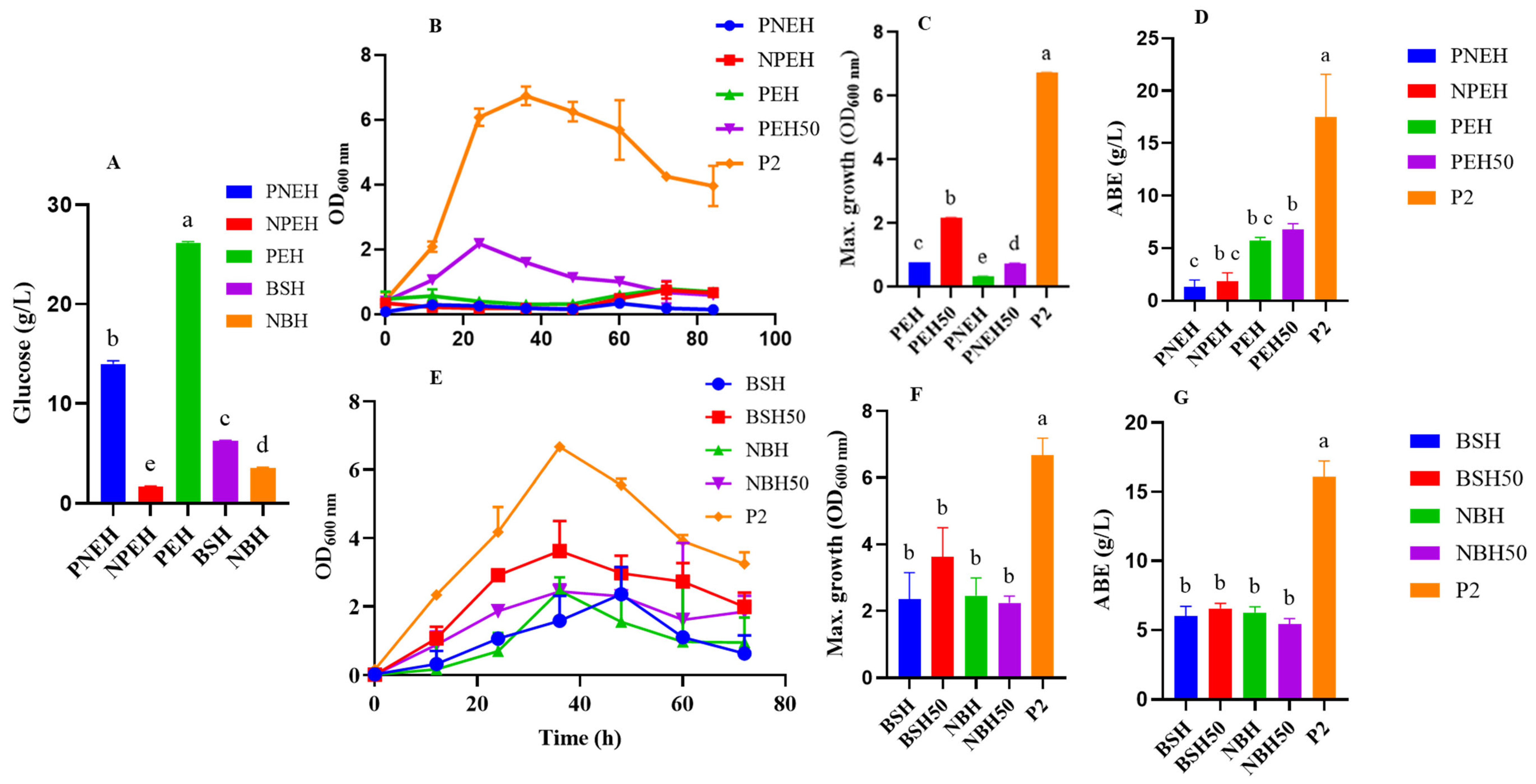 Fermentation 11 00177 g001