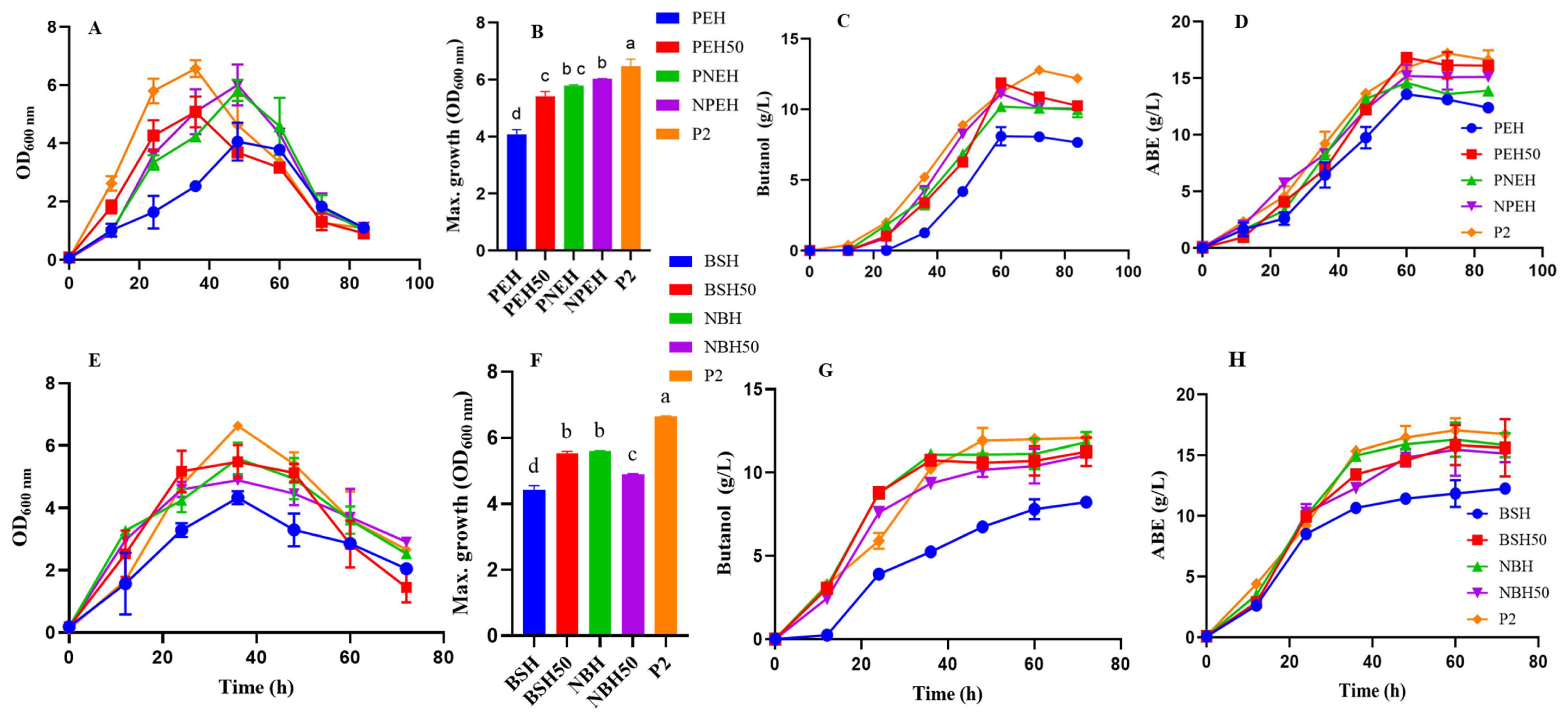Fermentation 11 00177 g002