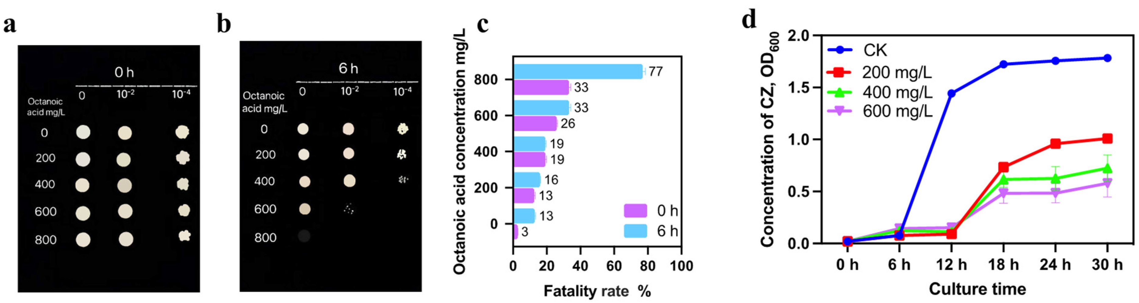 Fermentation 11 00180 g001