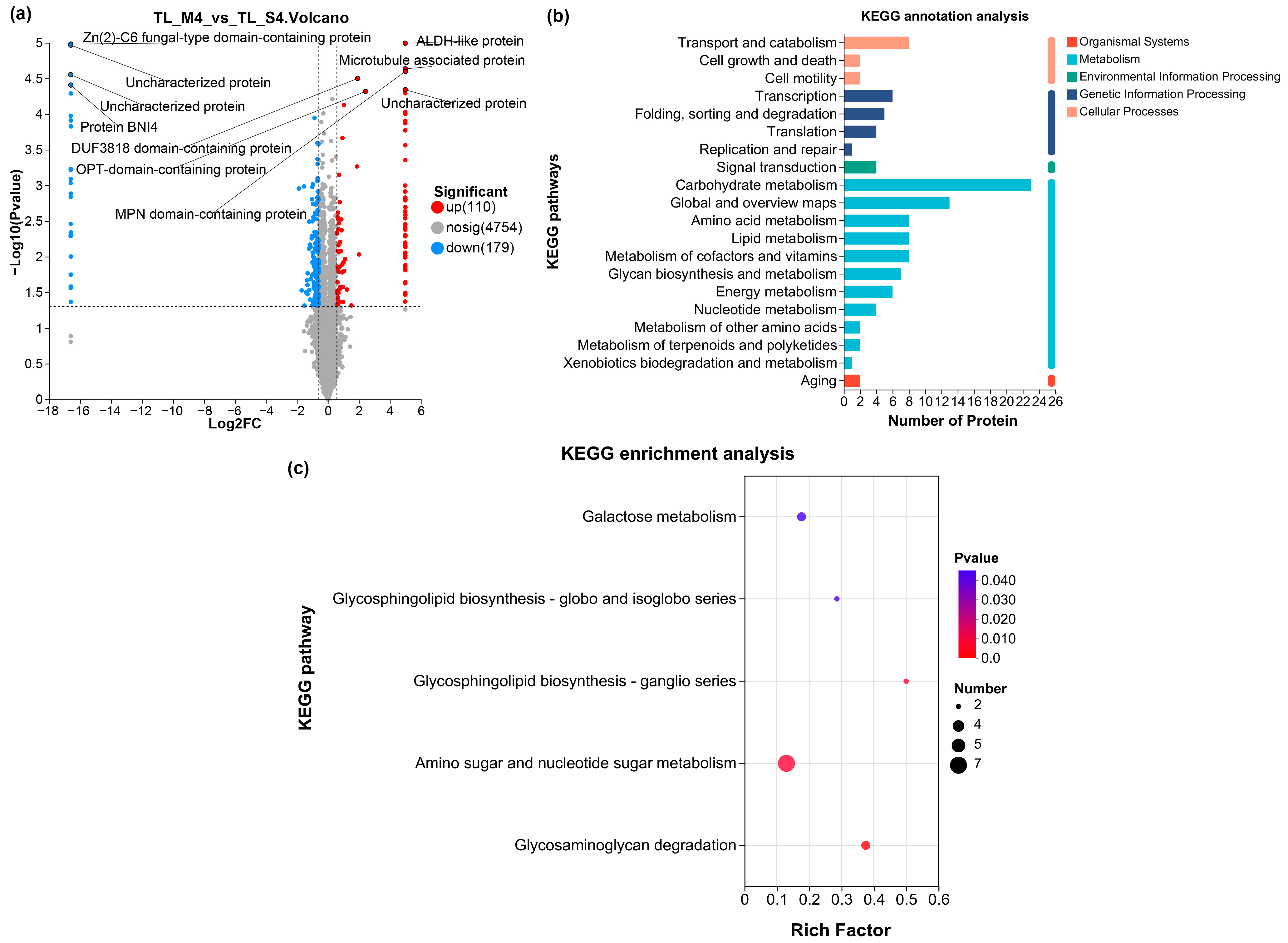 Fermentation 11 00181 g008