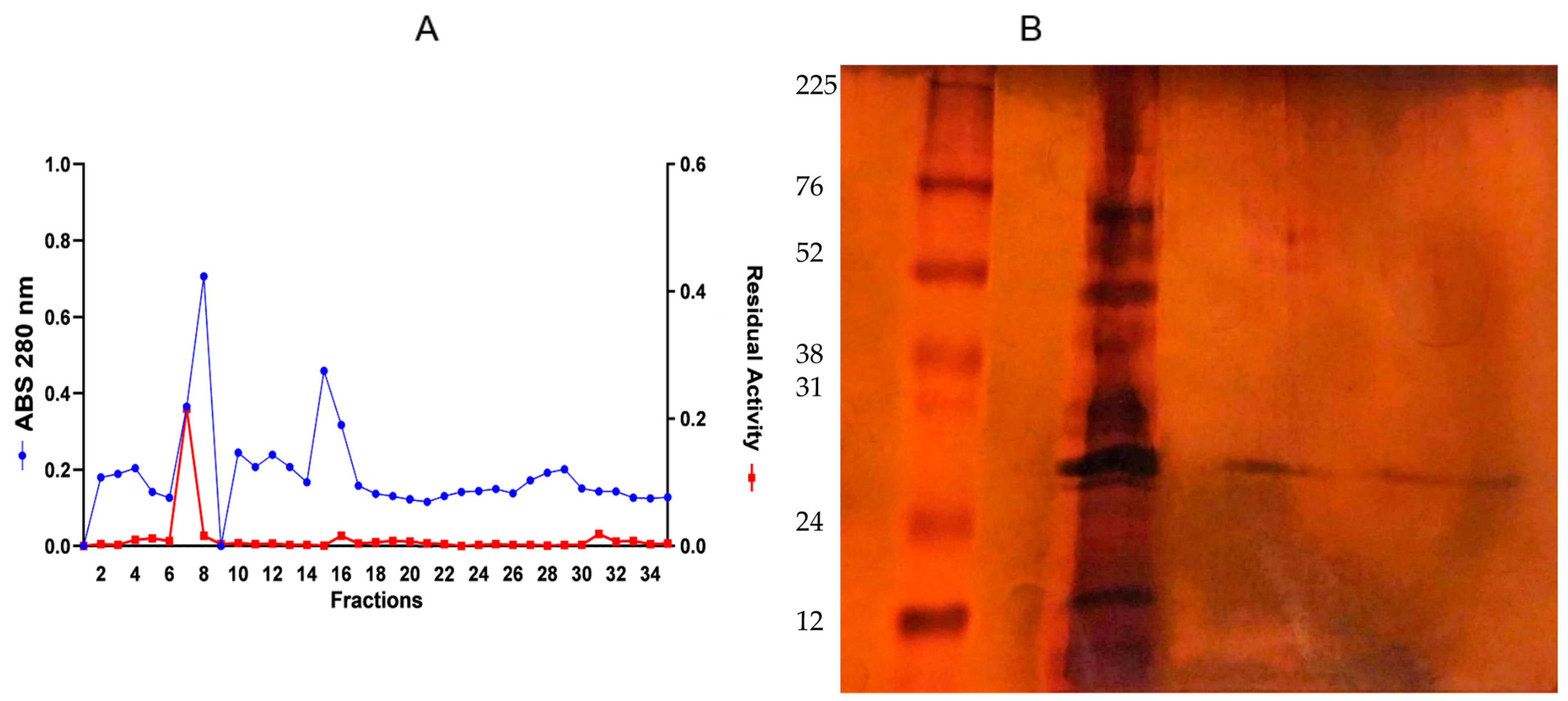 Fermentation 11 00182 g002