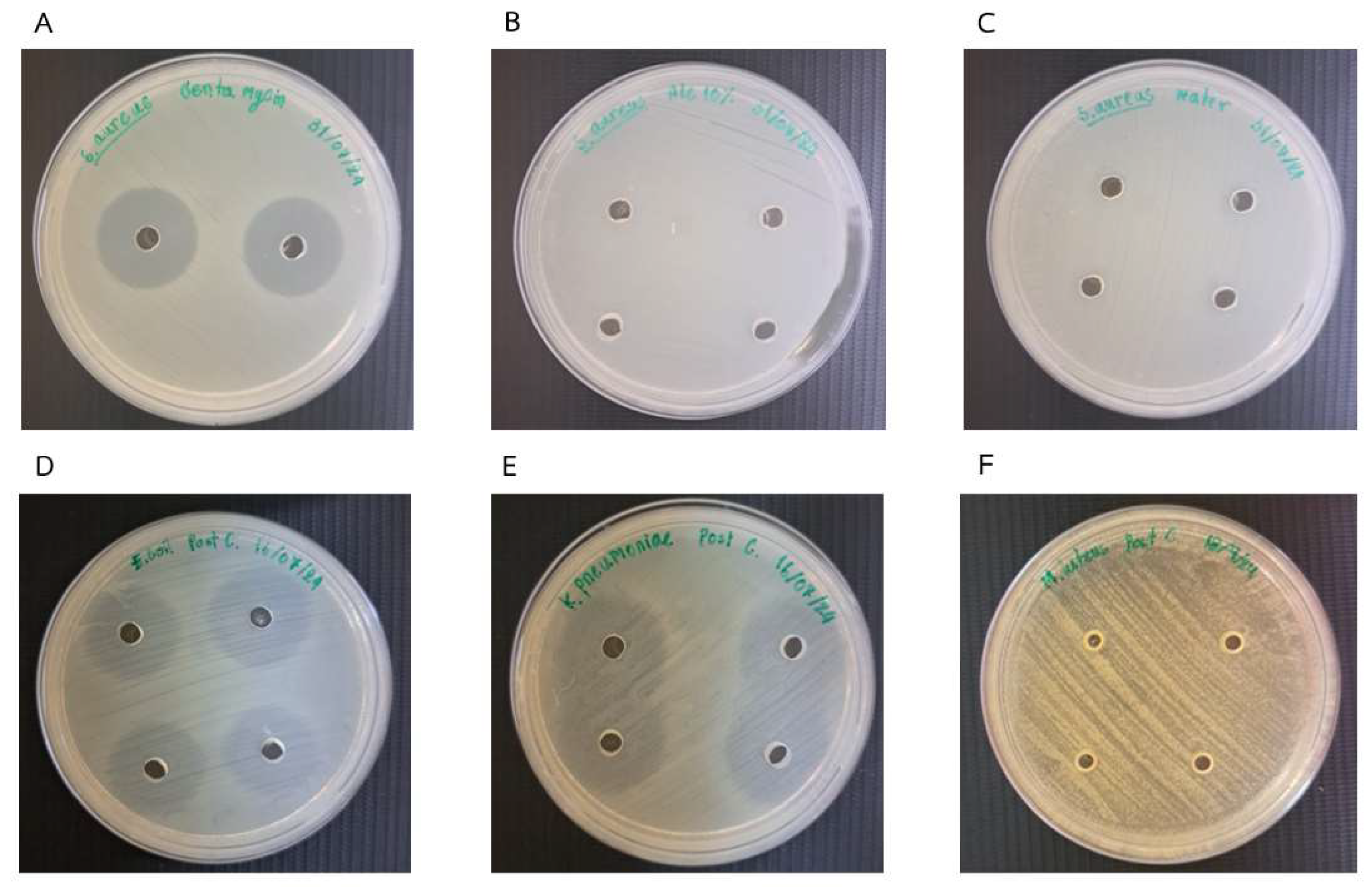 Fermentation 11 00190 g001