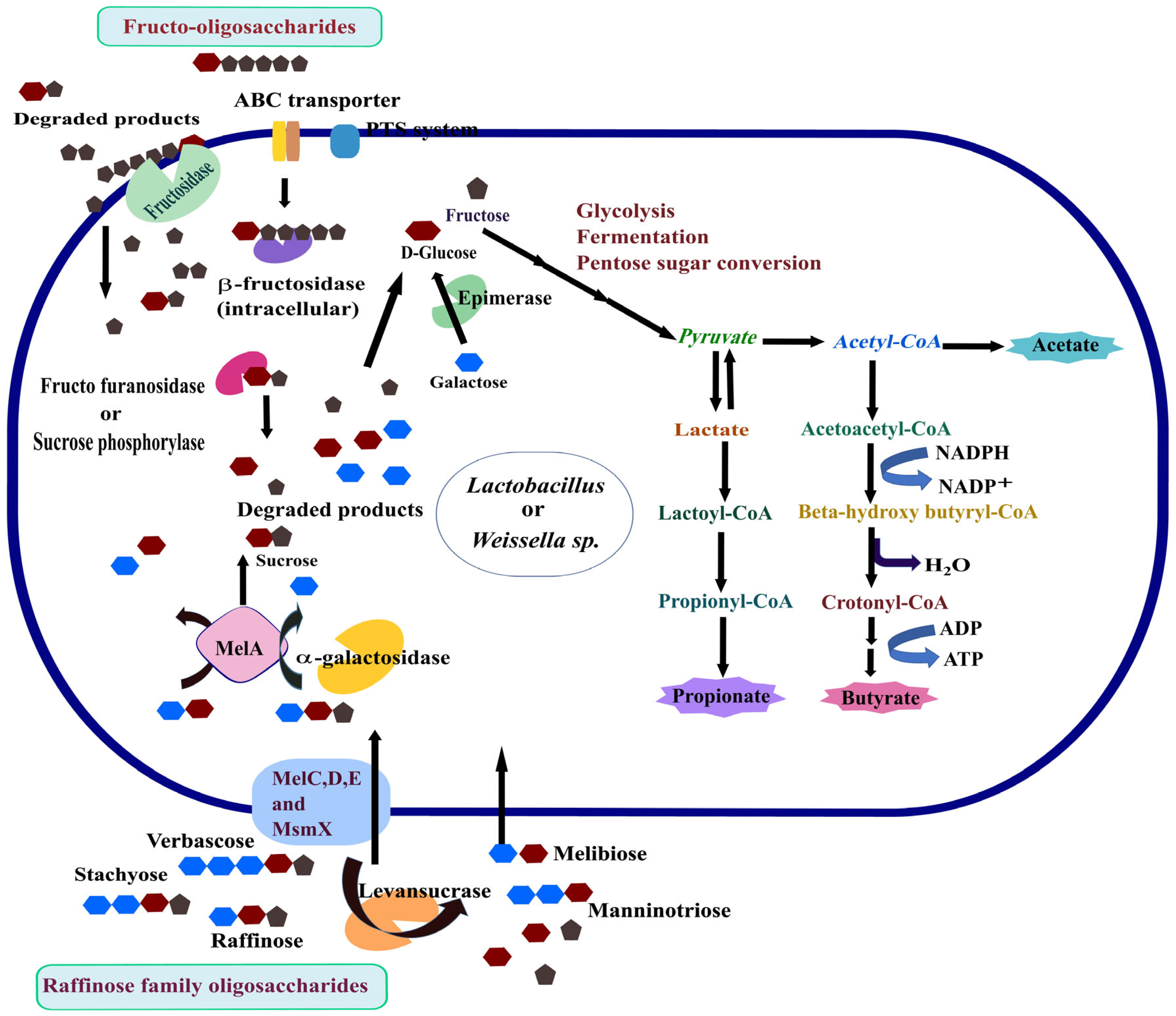 Fermentation 11 00194 g007