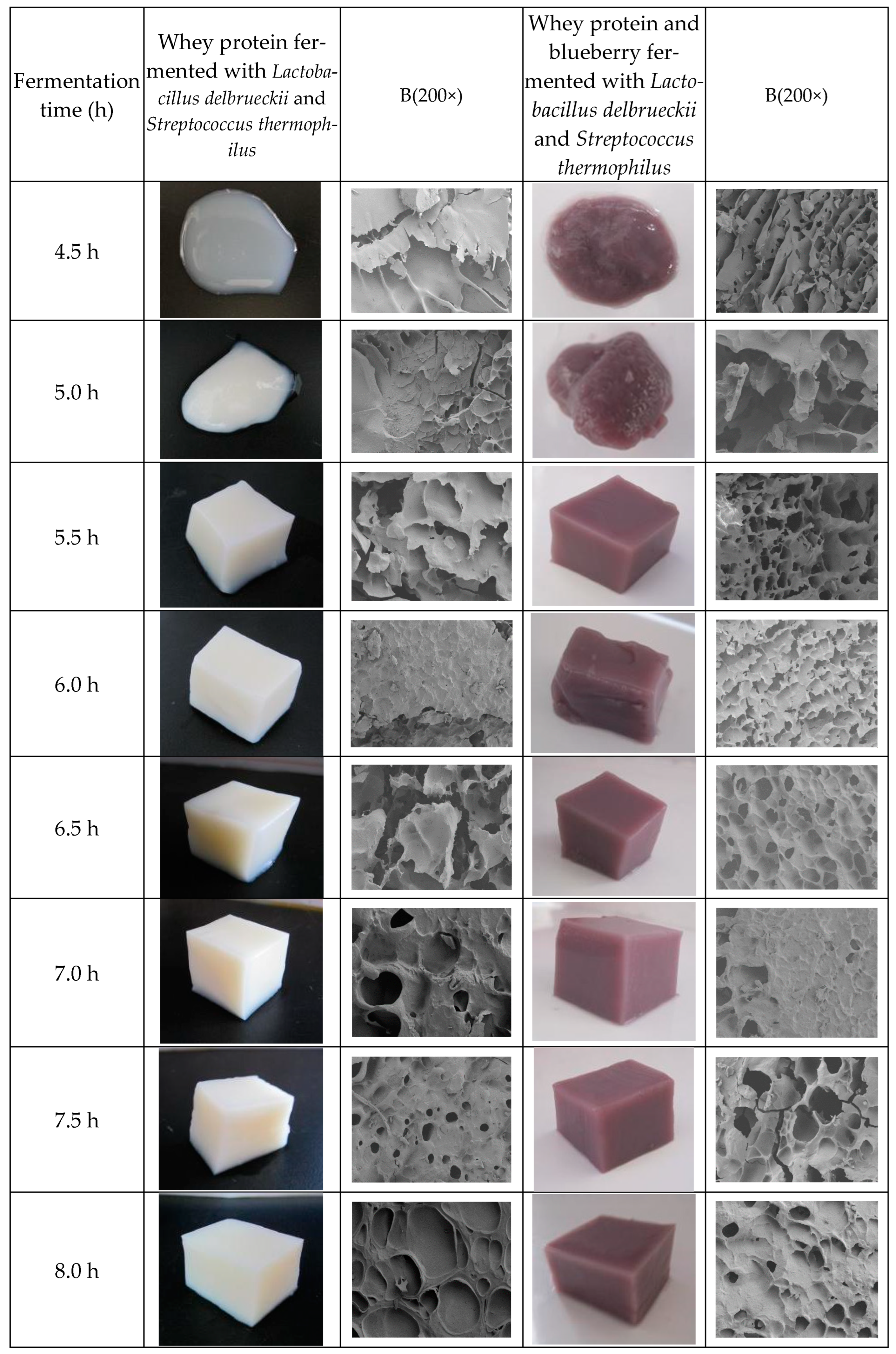 Fermentation 11 00205 g001