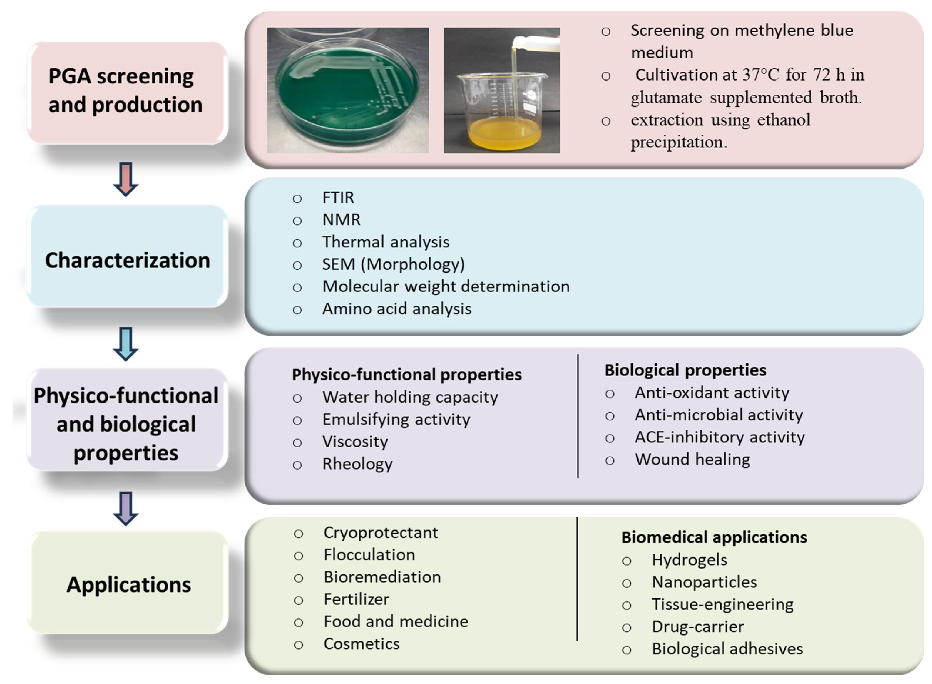 Fermentation 11 00208 g002