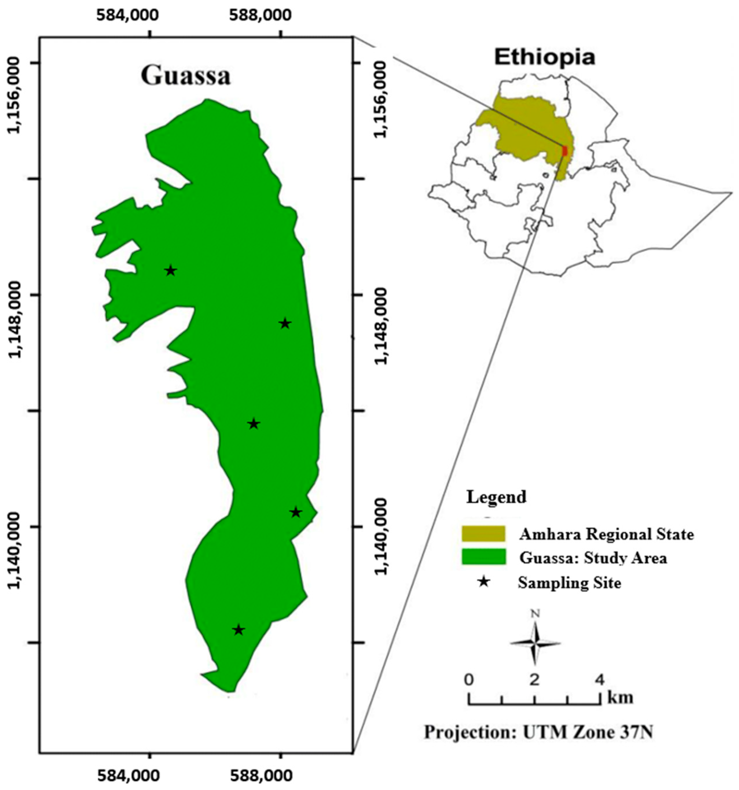 Fermentation 11 00211 g001