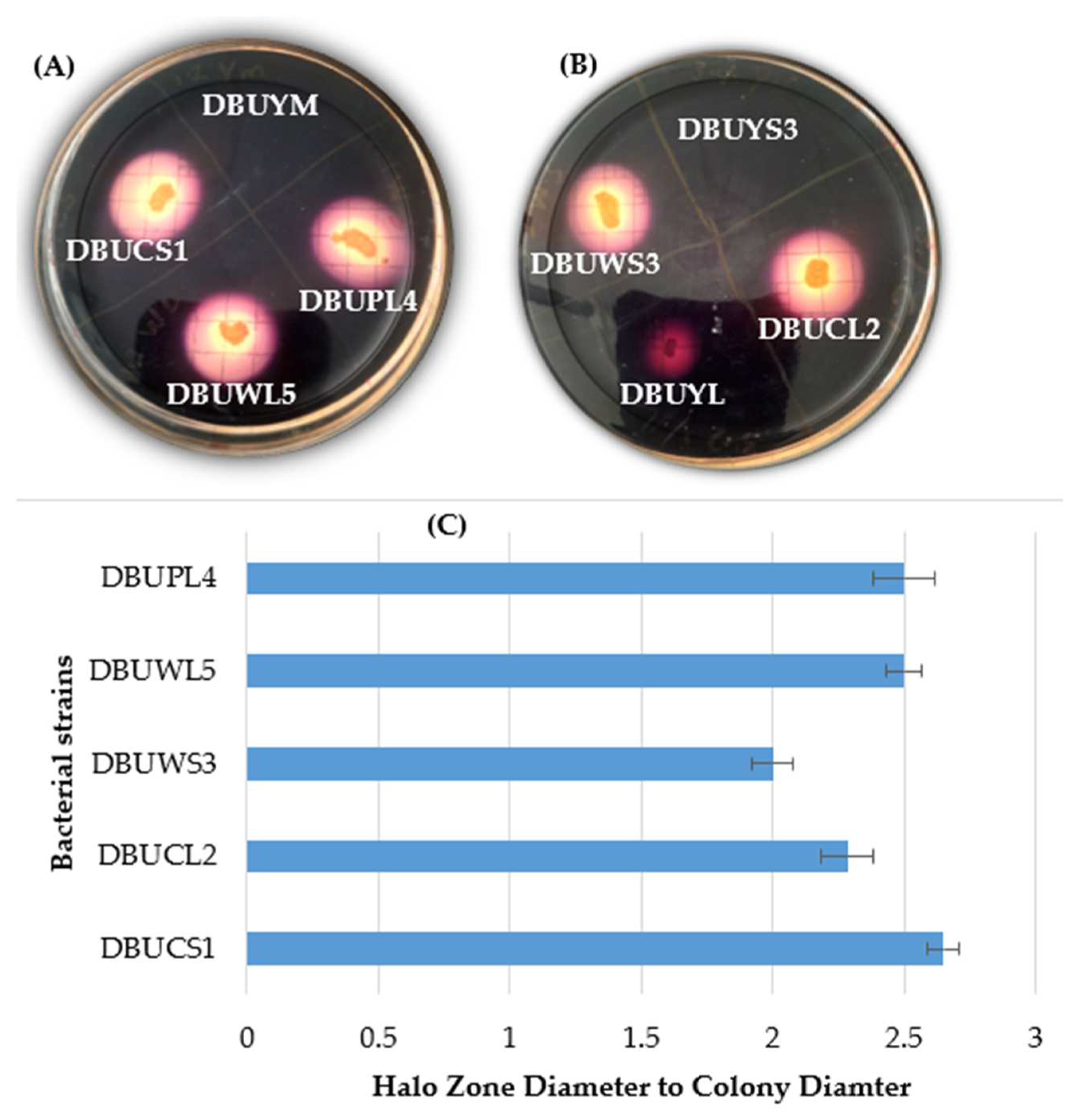 Fermentation 11 00211 g003