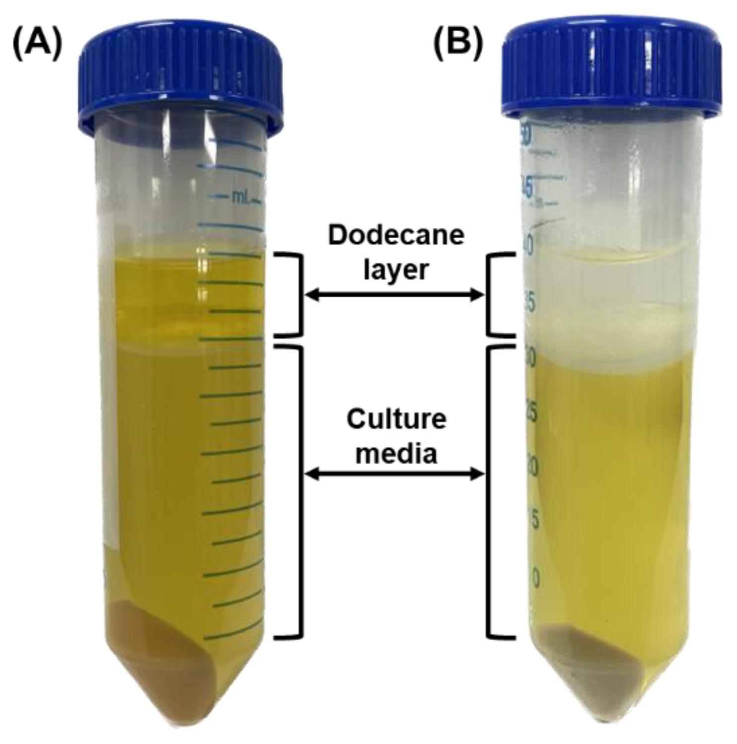 Fermentation 11 00214 g005