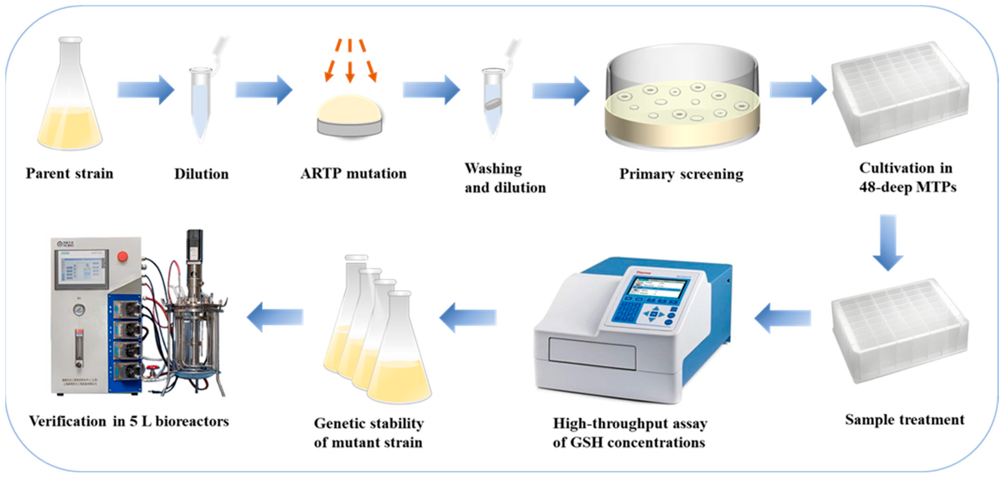 Fermentation 11 00220 g001