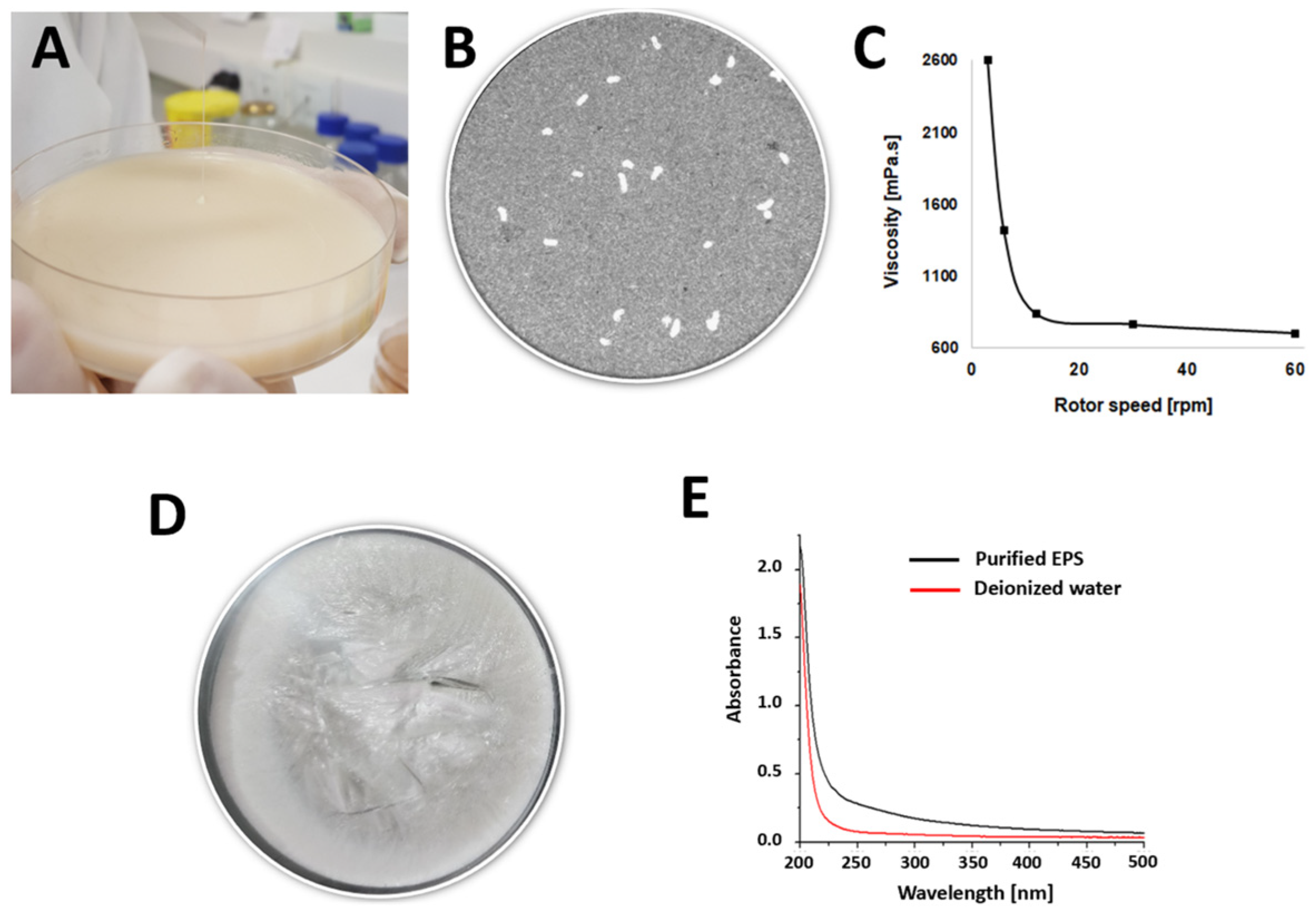 Fermentation 11 00224 g001