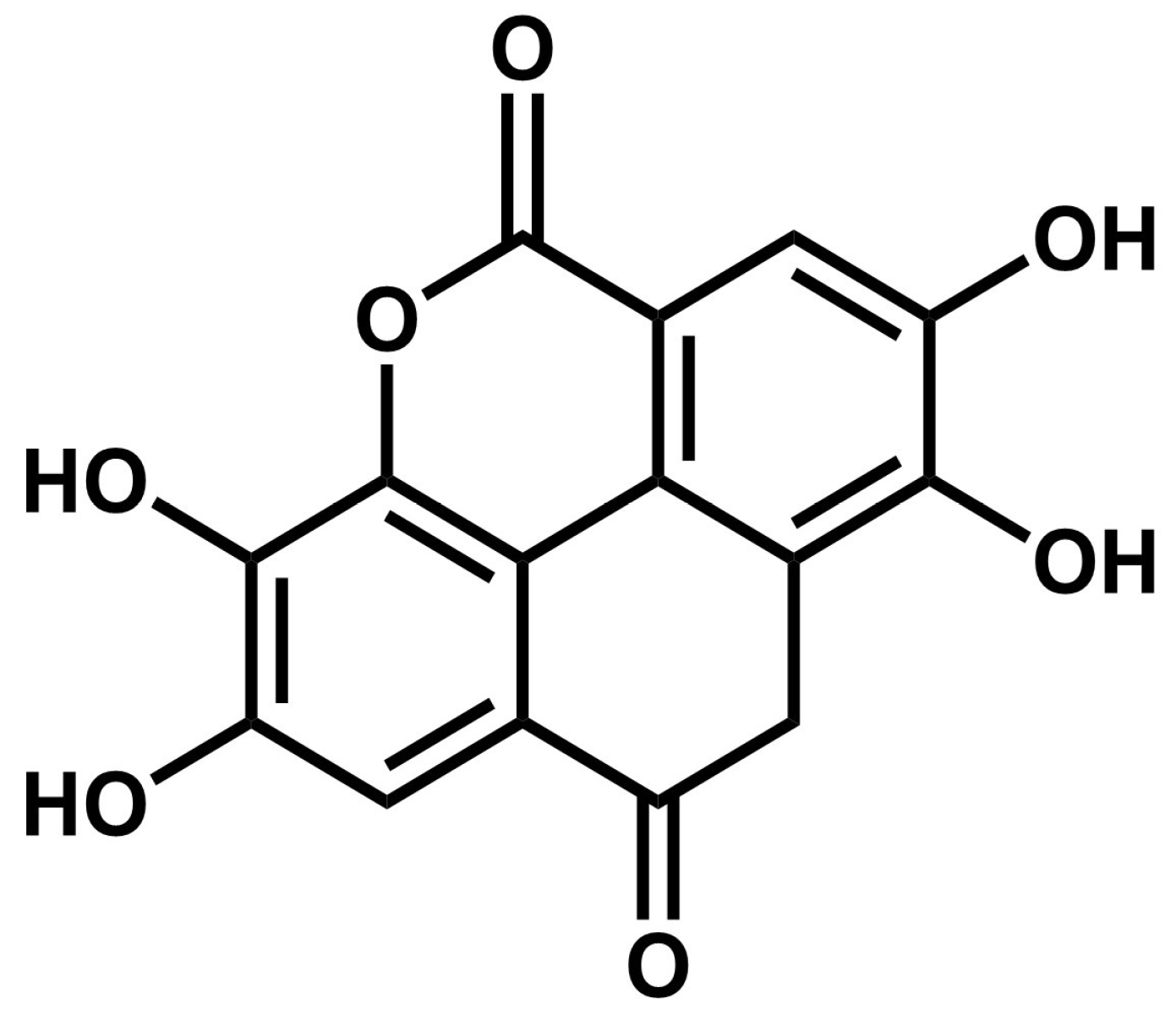 Fermentation 11 00229 g001