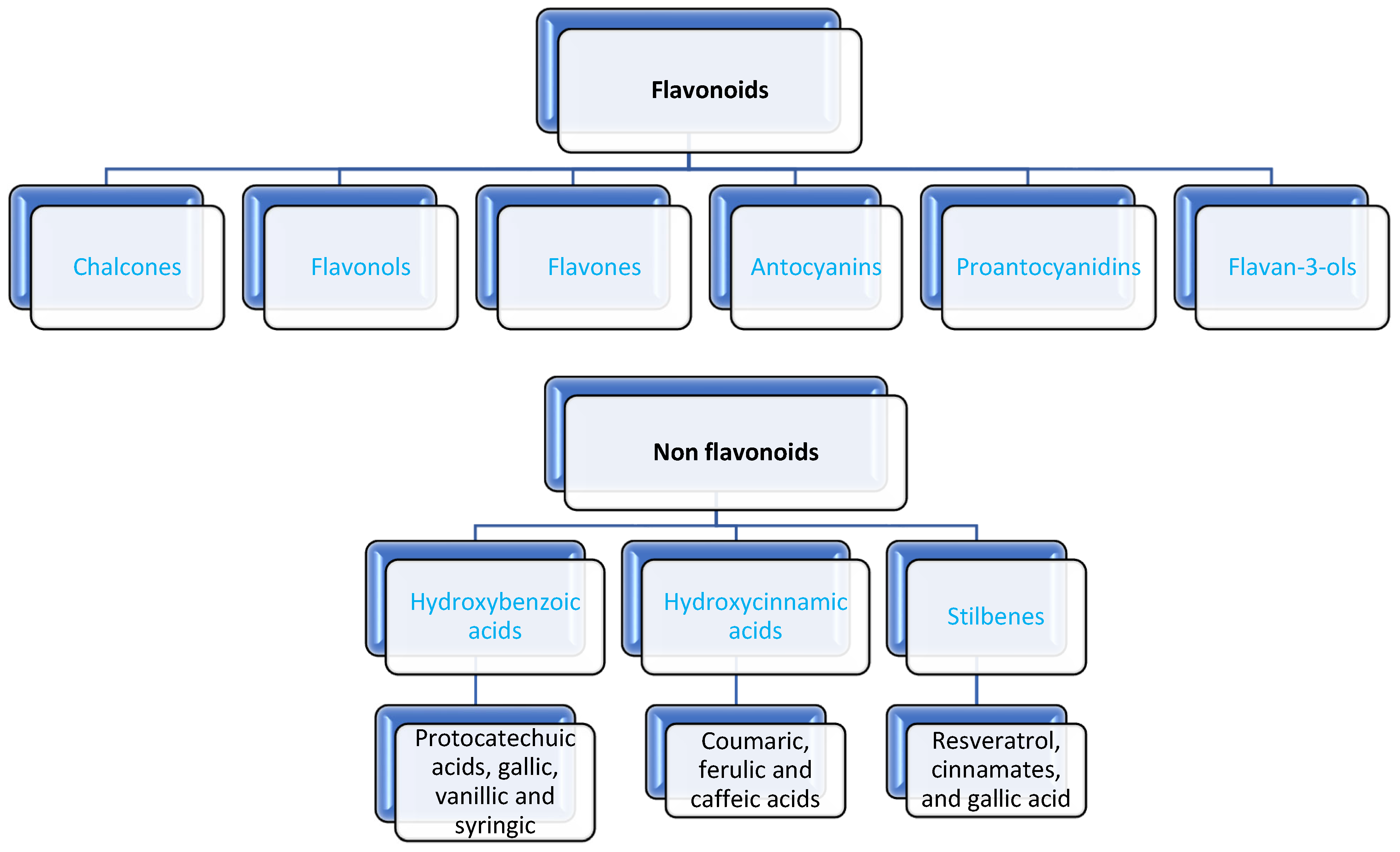 Fermentation 11 00234 g001
