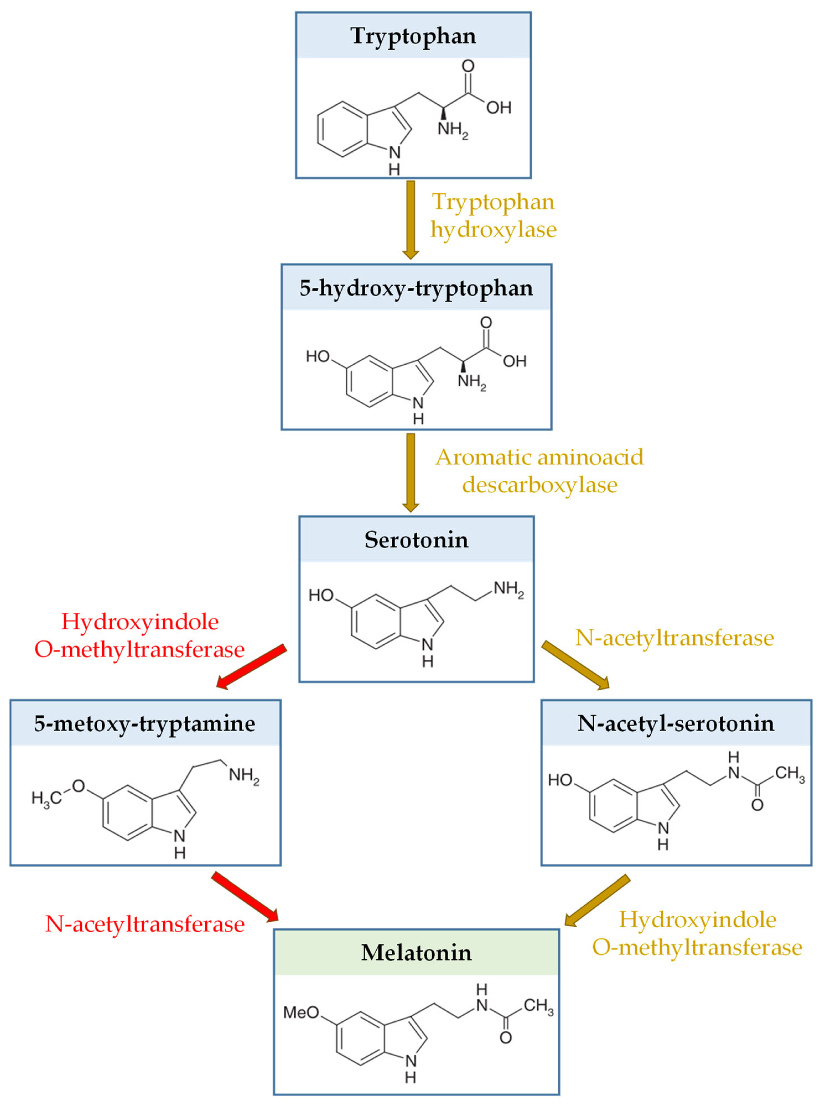 Fermentation 11 00234 g002