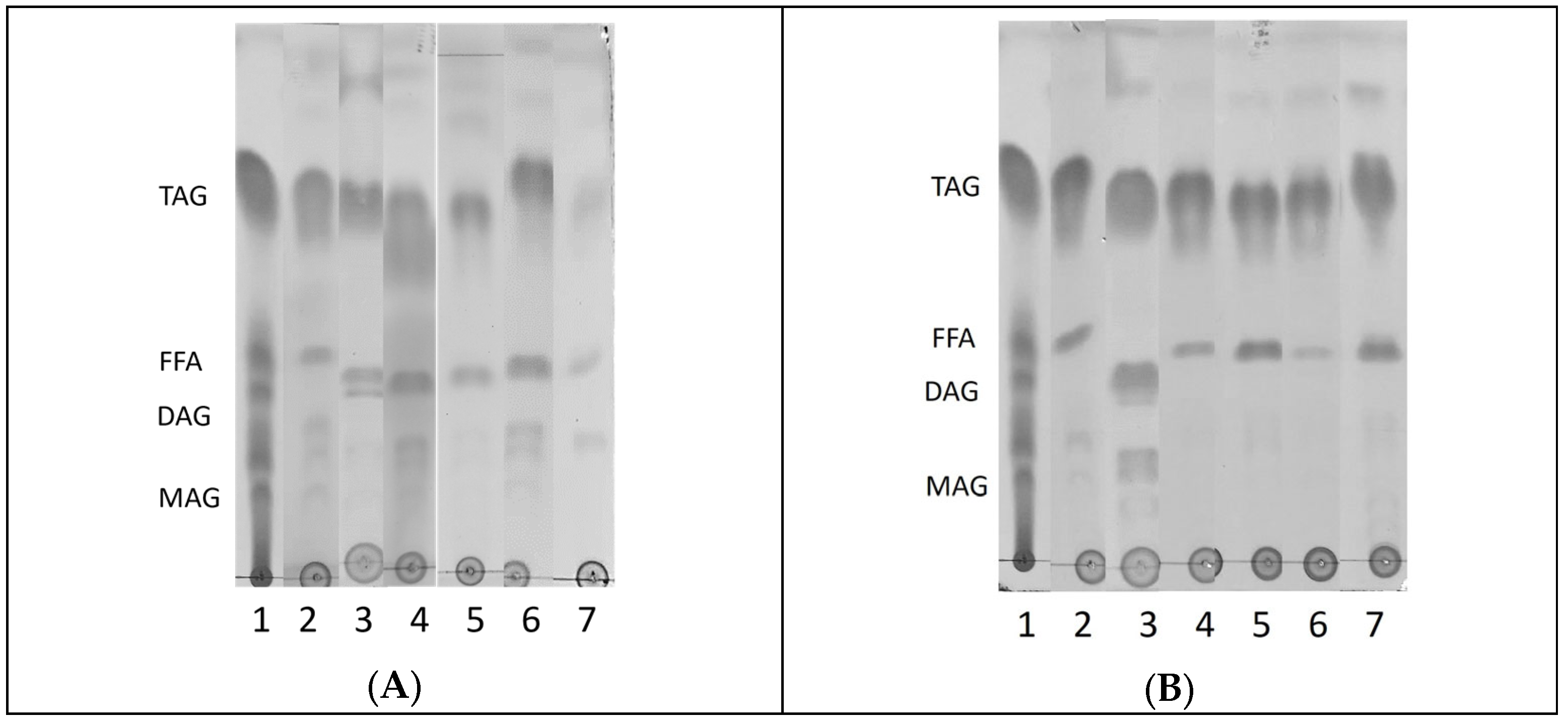 Fermentation 11 00237 g003