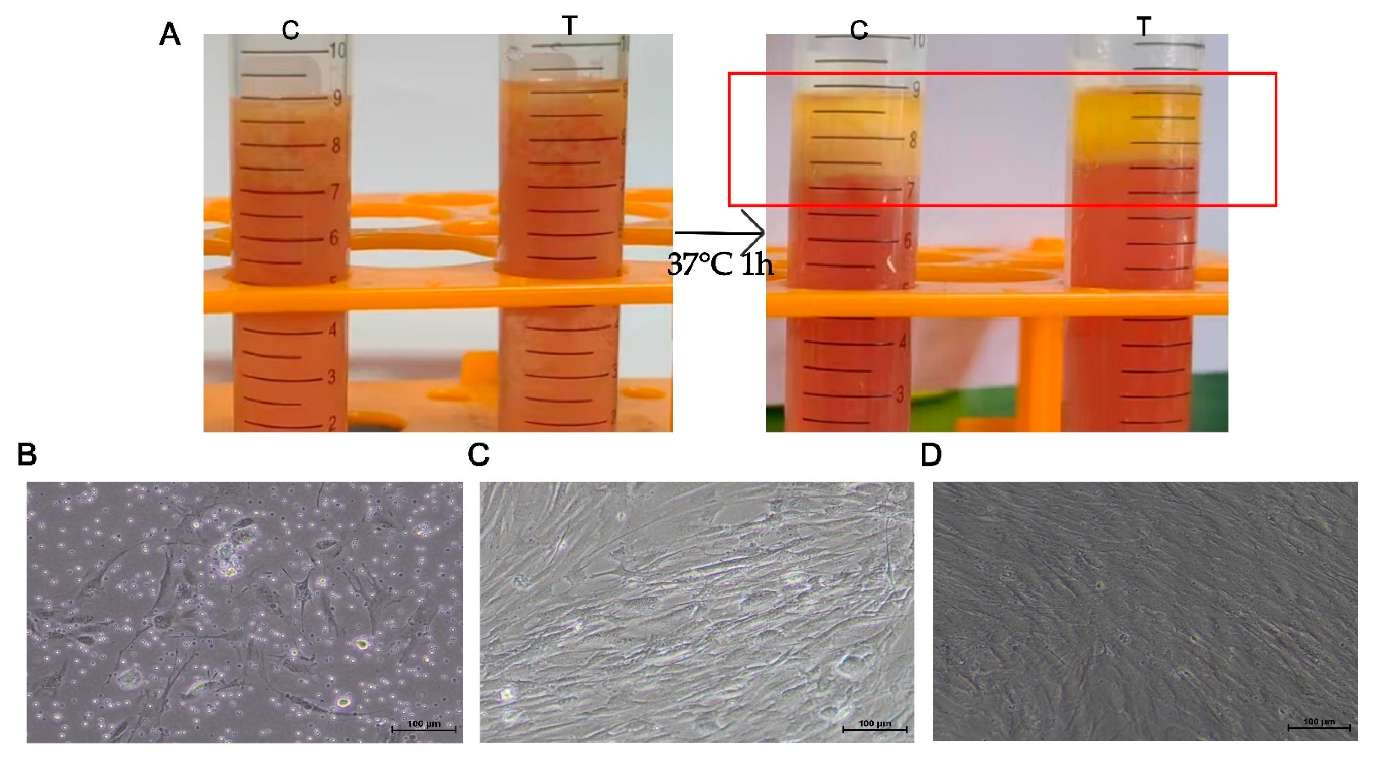 Fermentation 11 00242 g006