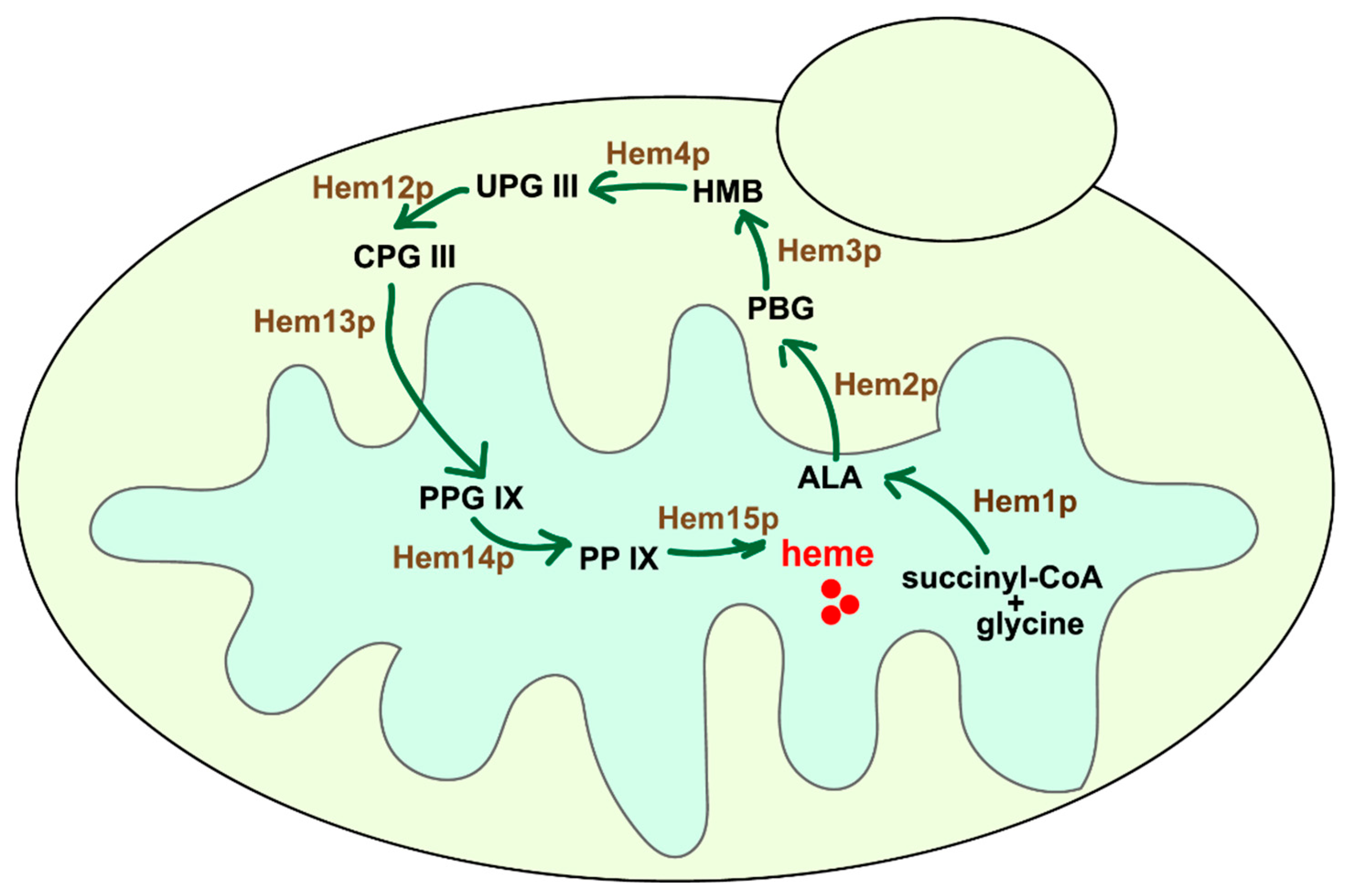 Fermentation 11 00246 g001