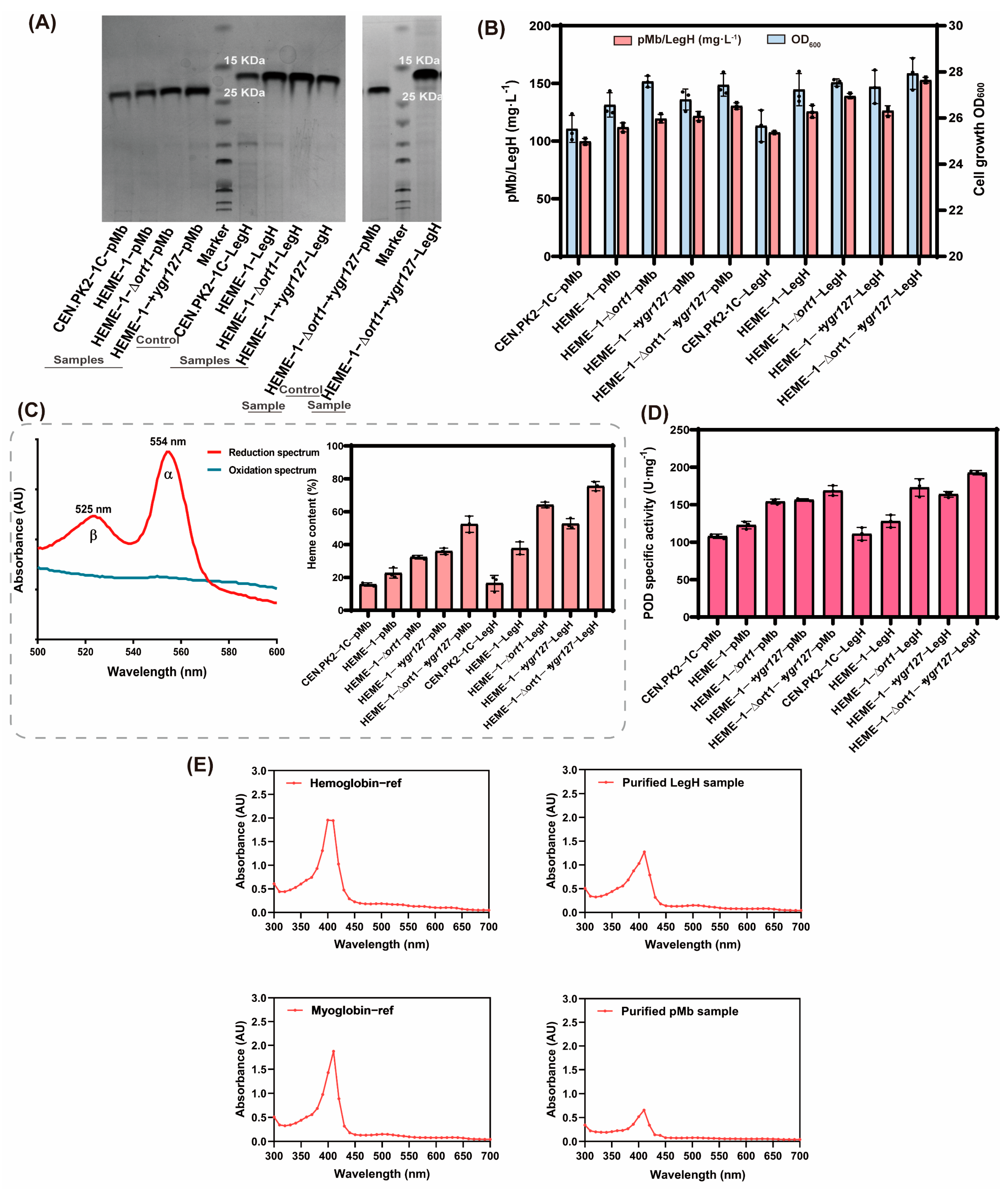 Fermentation 11 00246 g005