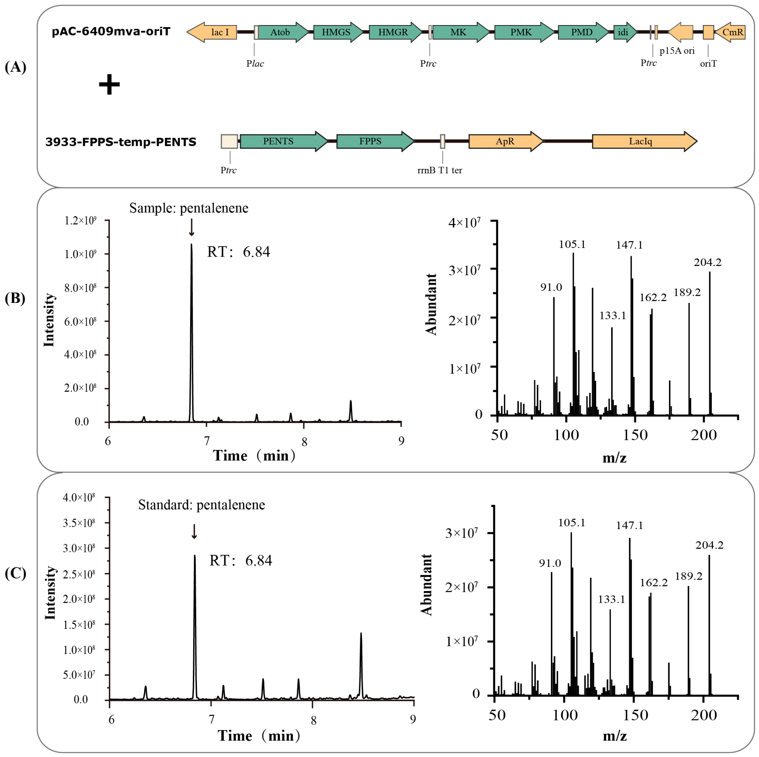 Fermentation 11 00249 g001