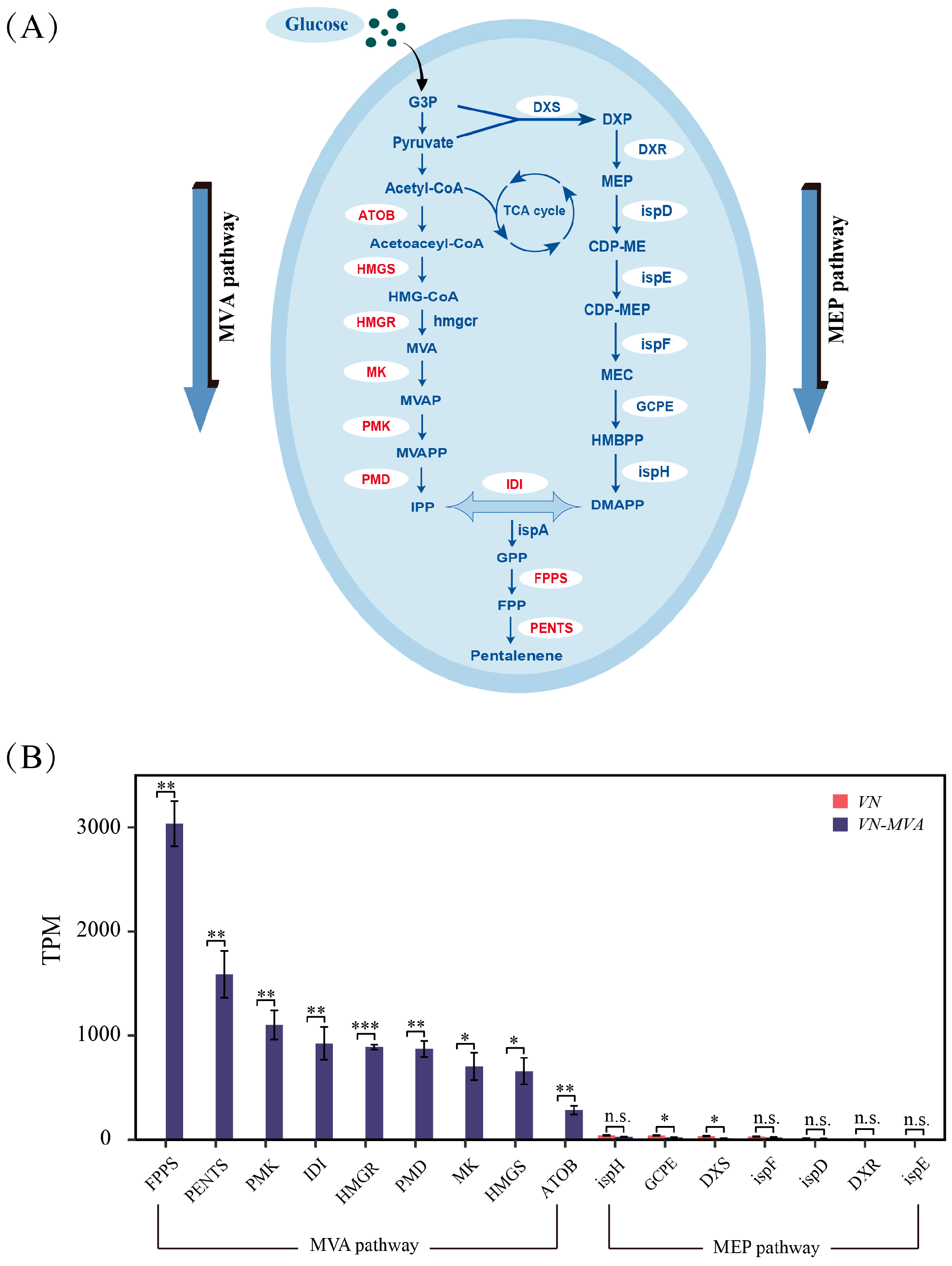 Fermentation 11 00249 g004