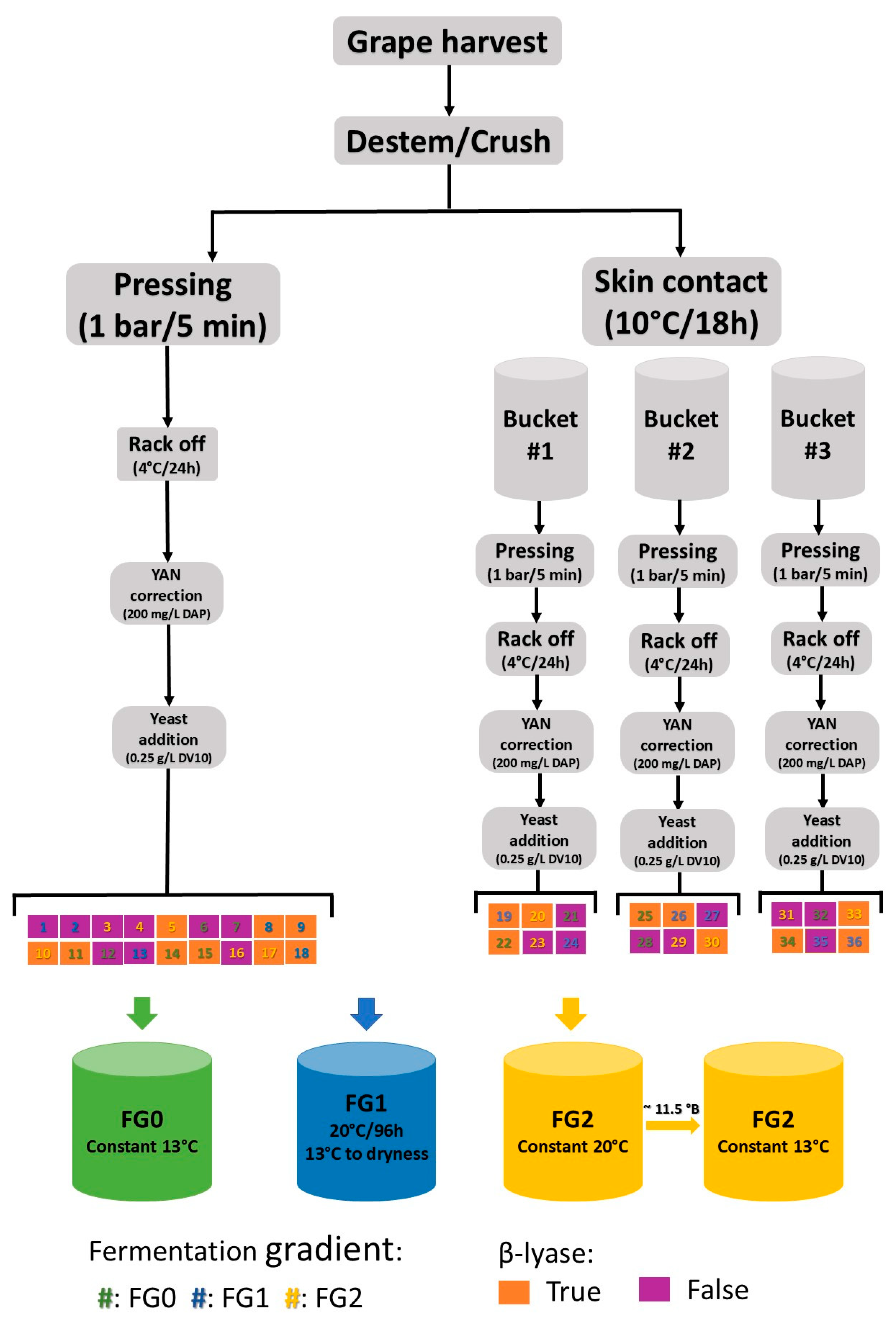 Fermentation 11 00250 g001