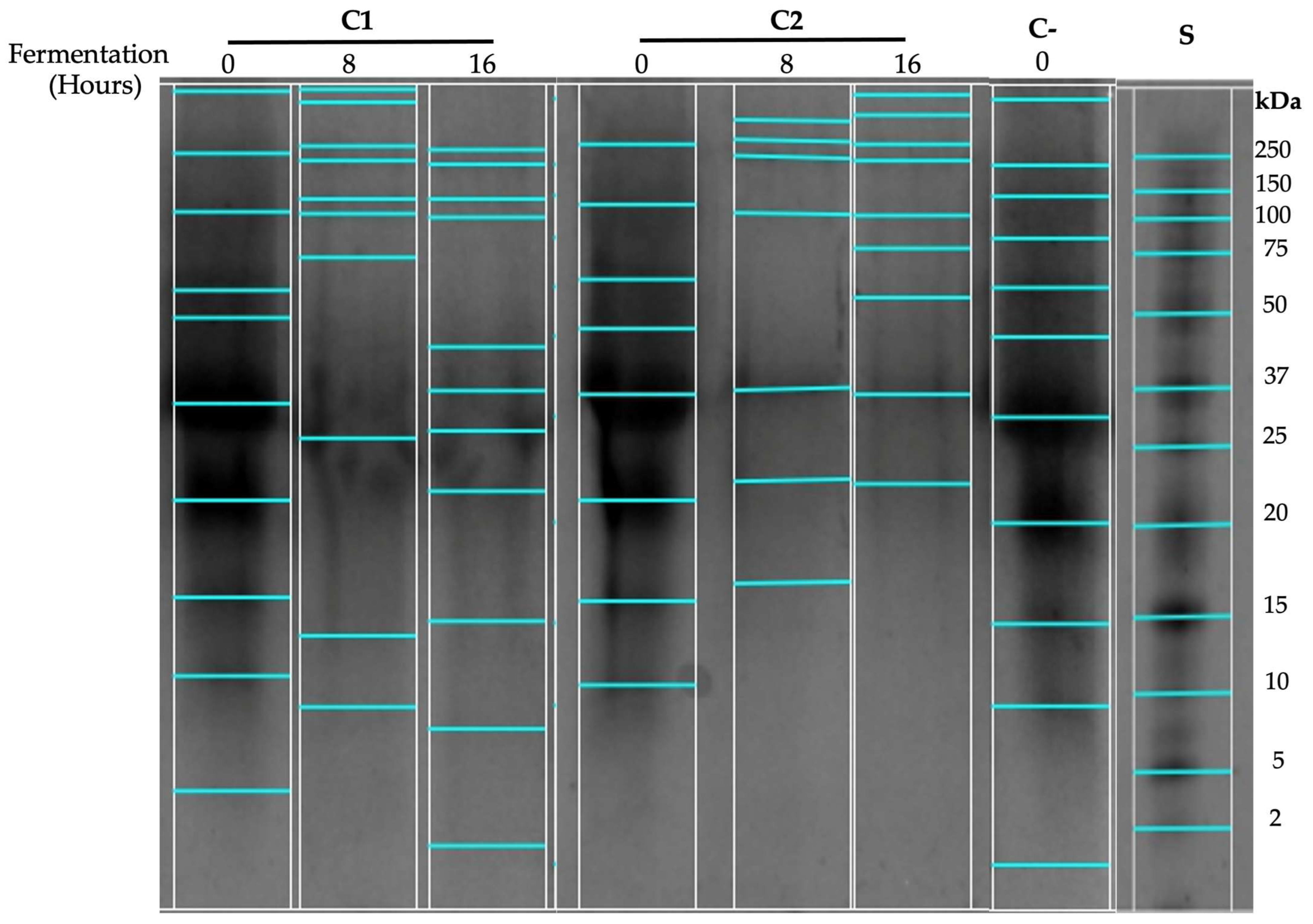 Fermentation 11 00252 g003