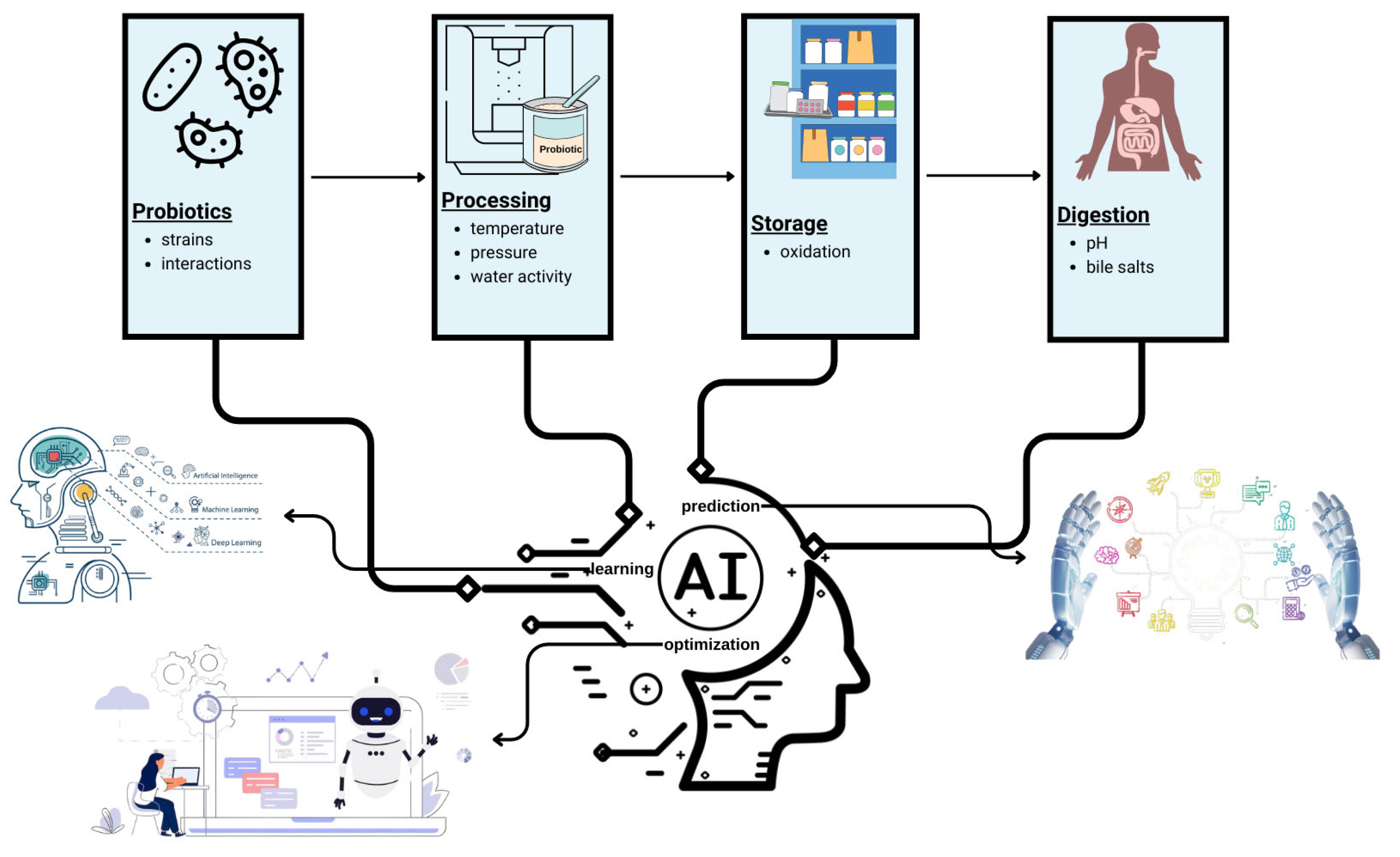Fermentation 11 00259 g004