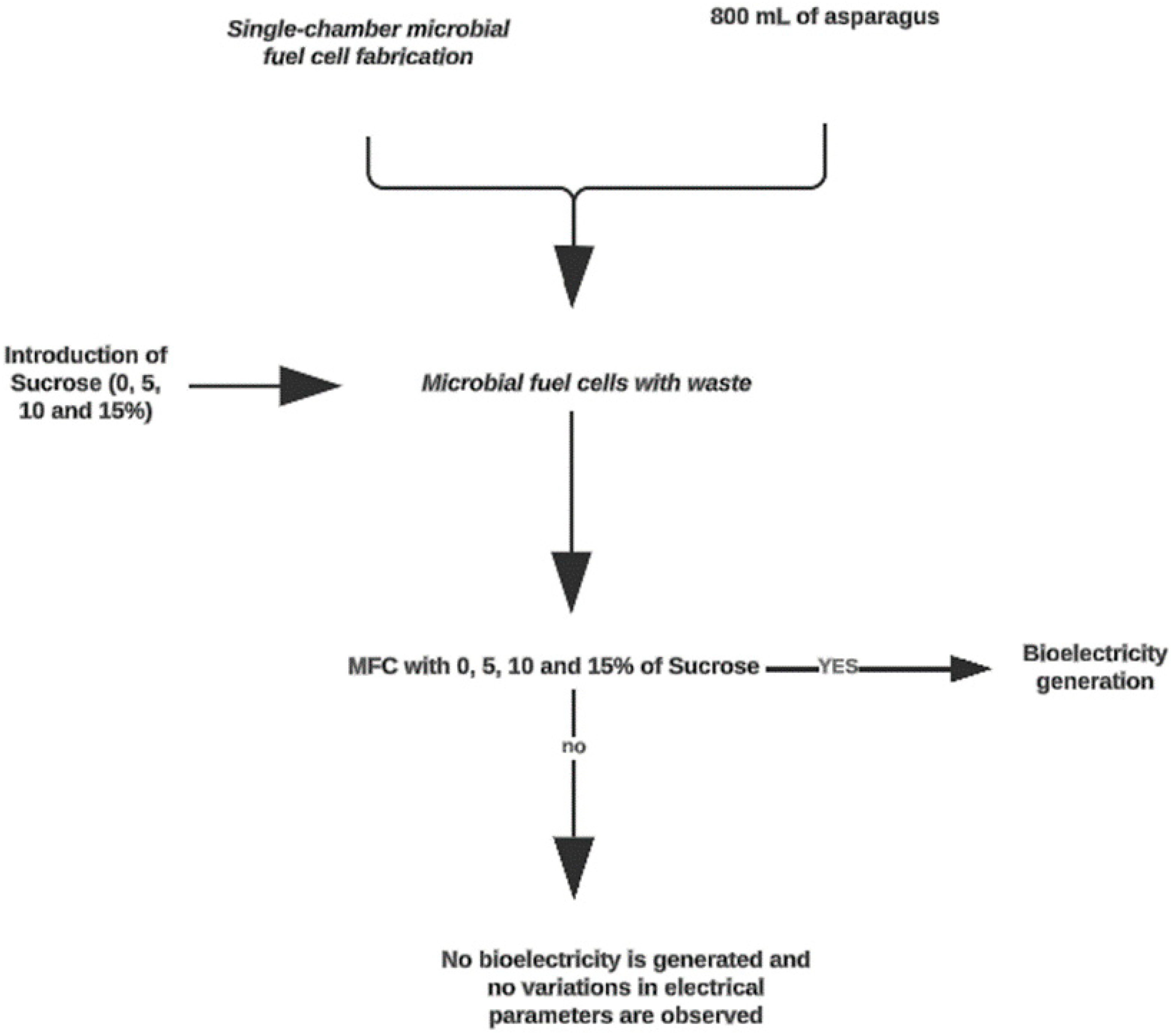 Fermentation 11 00260 g002