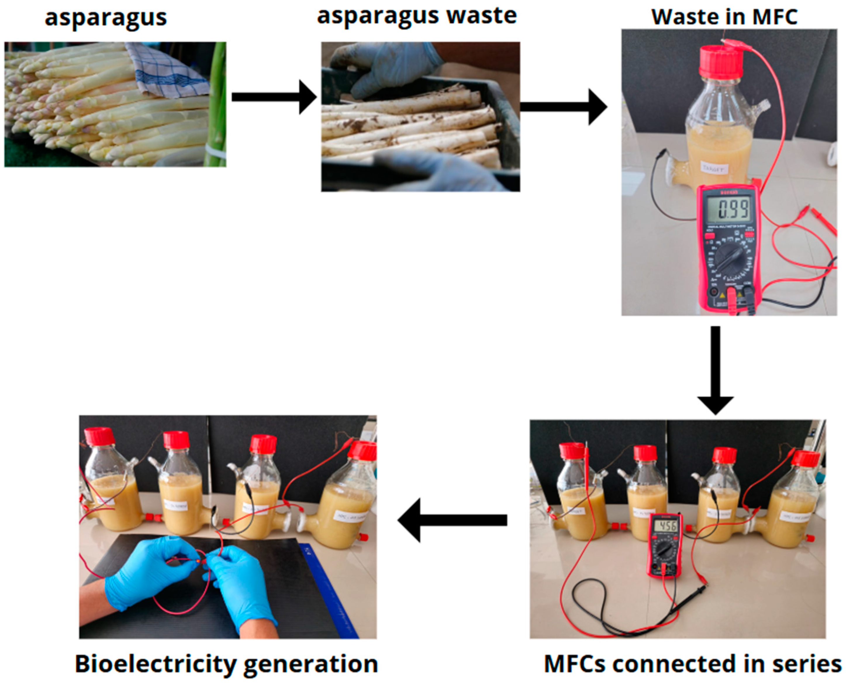Fermentation 11 00260 g007