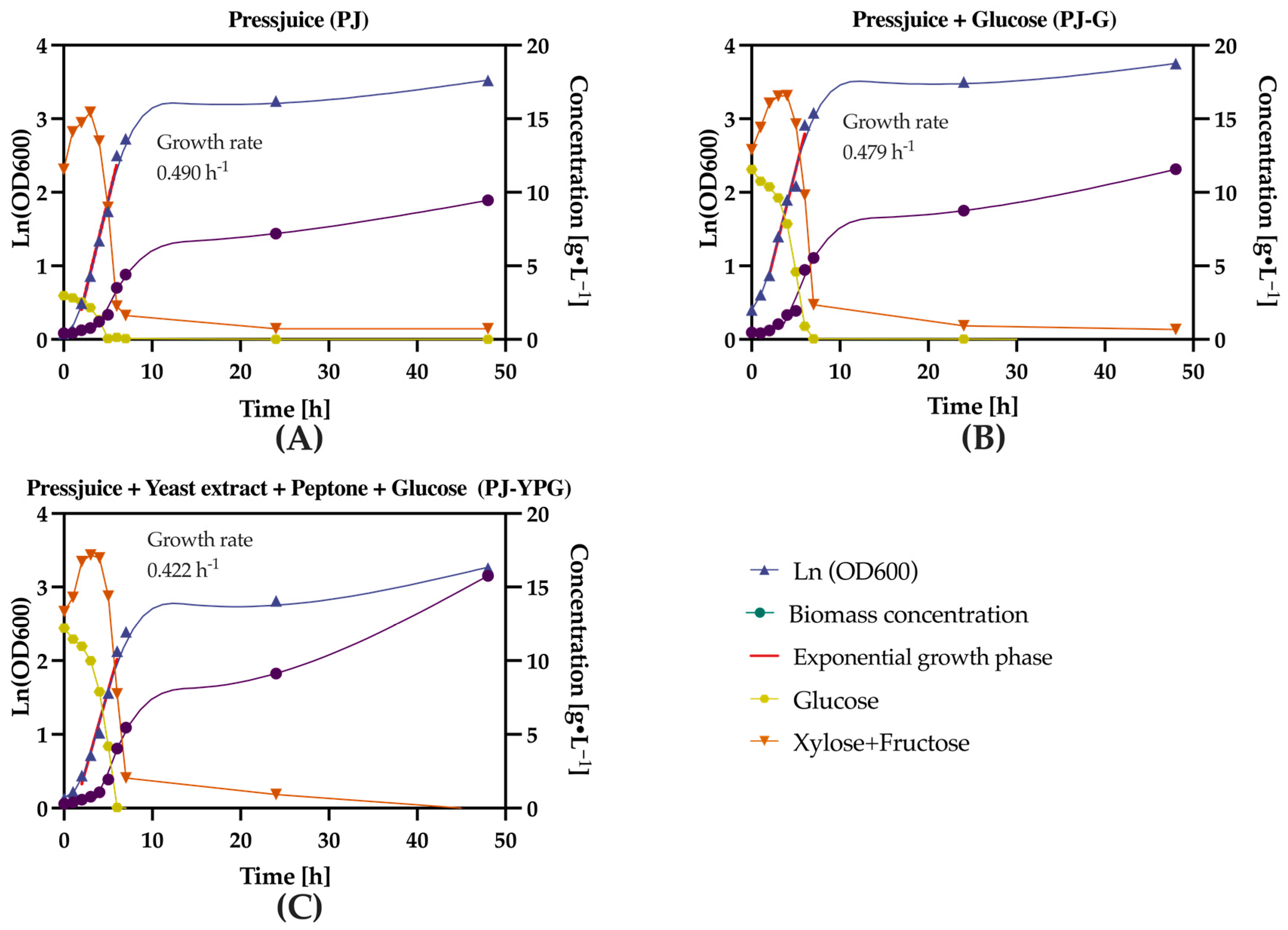 Fermentation 11 00266 g004