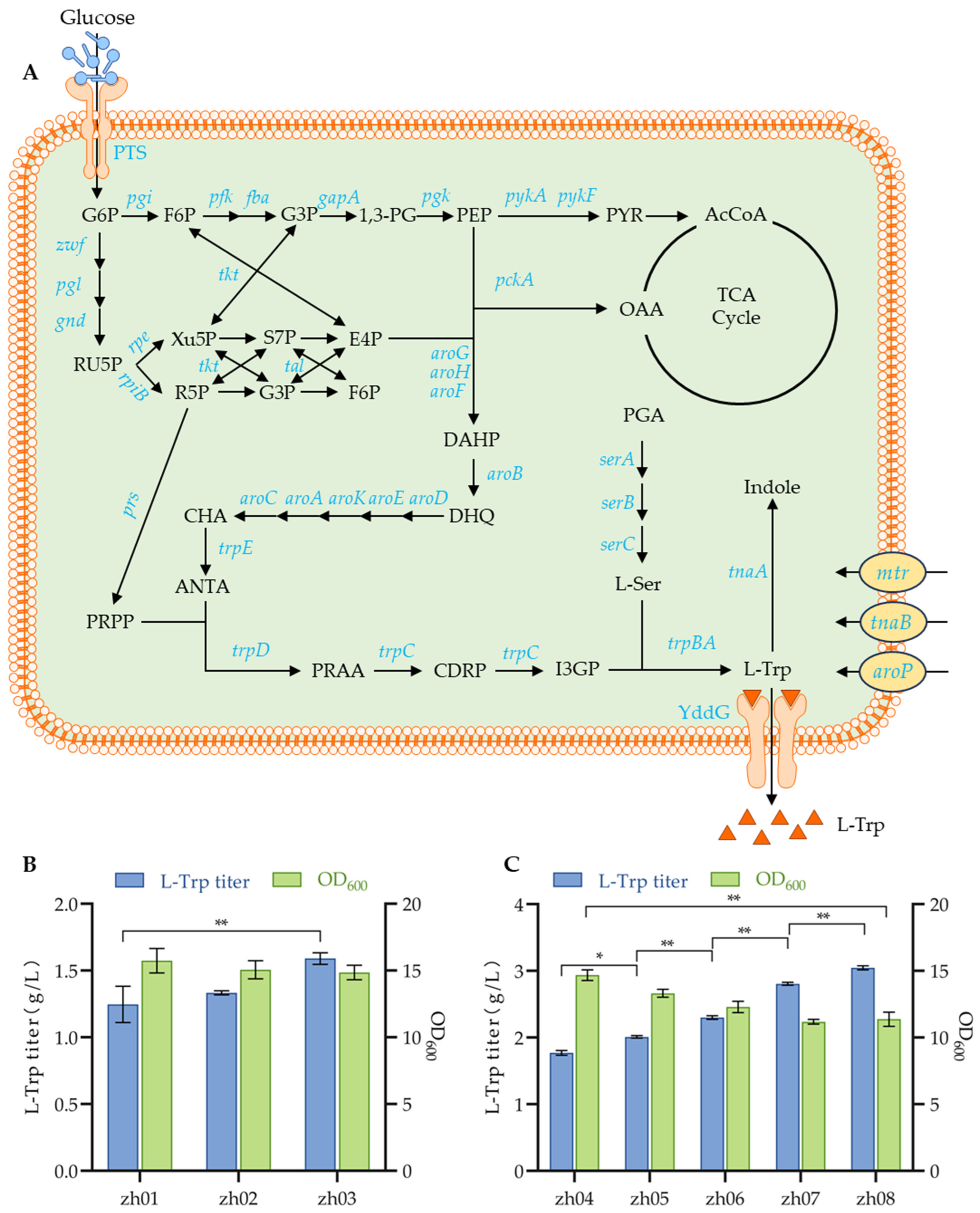 Fermentation 11 00267 g005