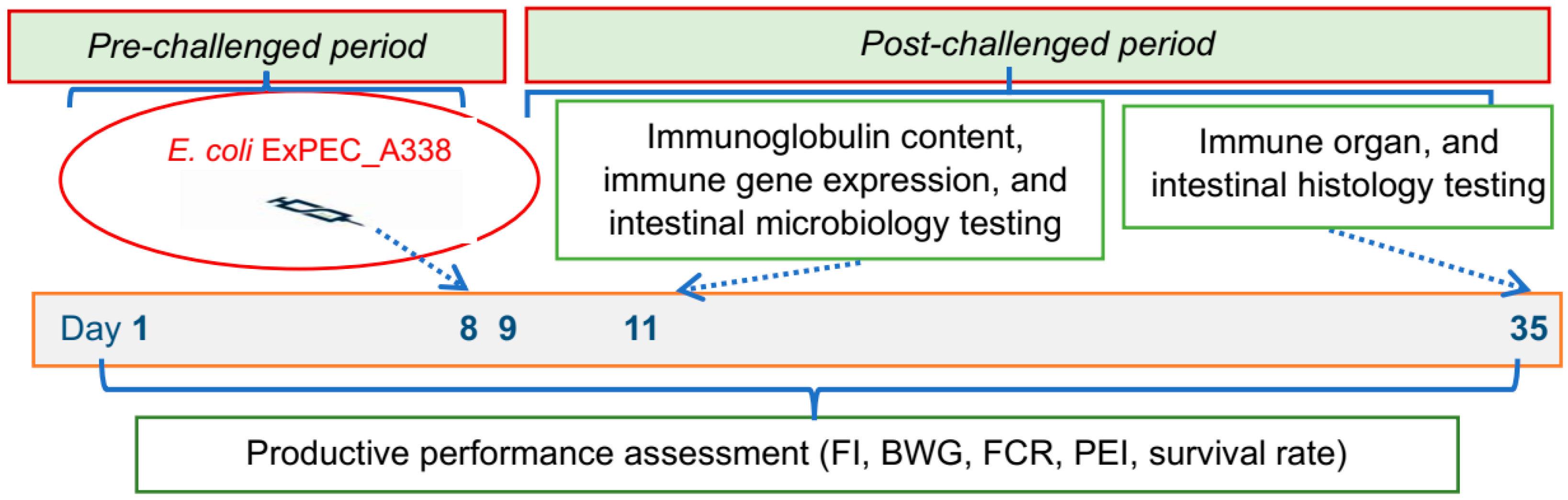 Fermentation 11 00277 g001