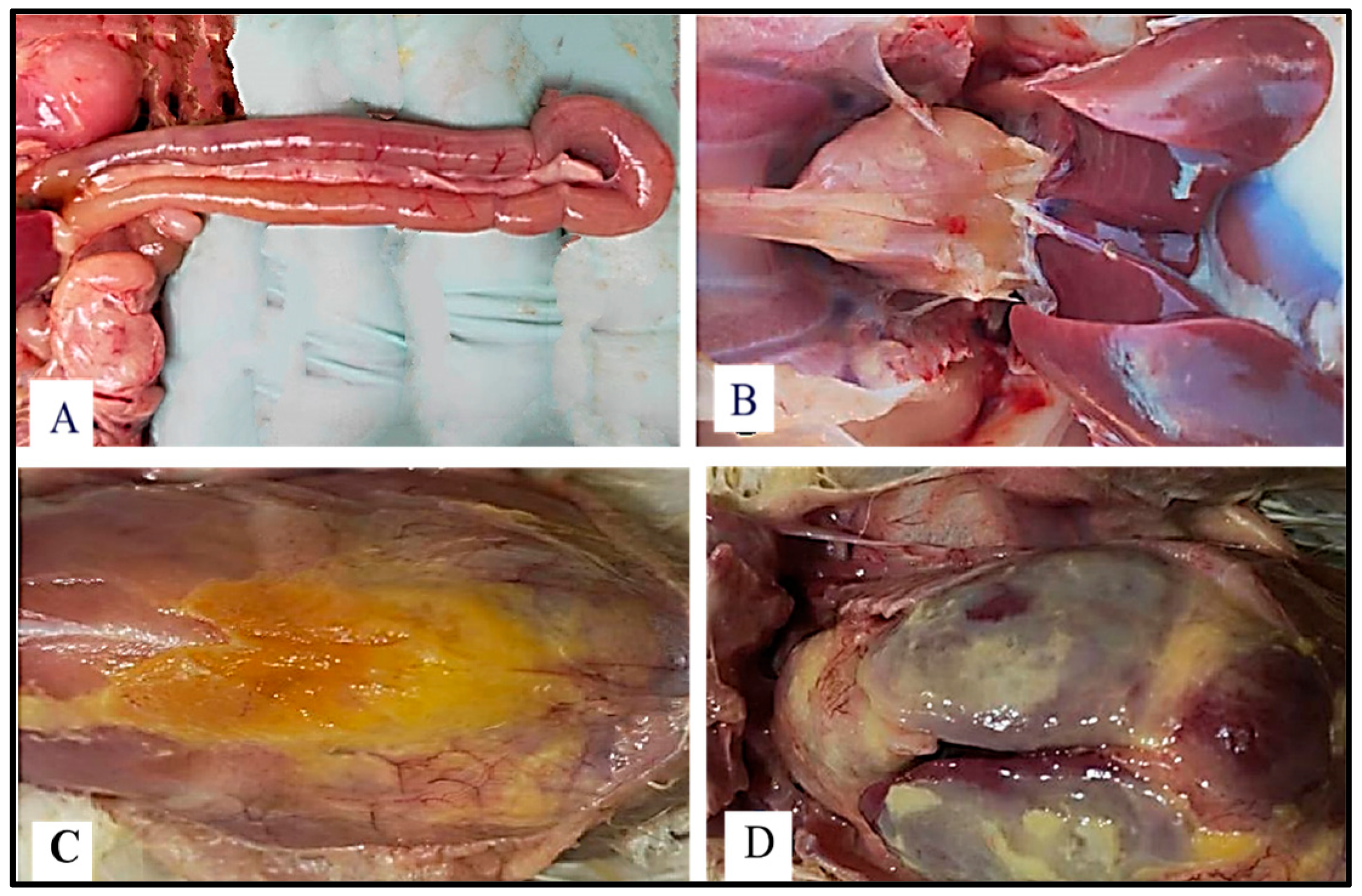 Fermentation 11 00277 g003