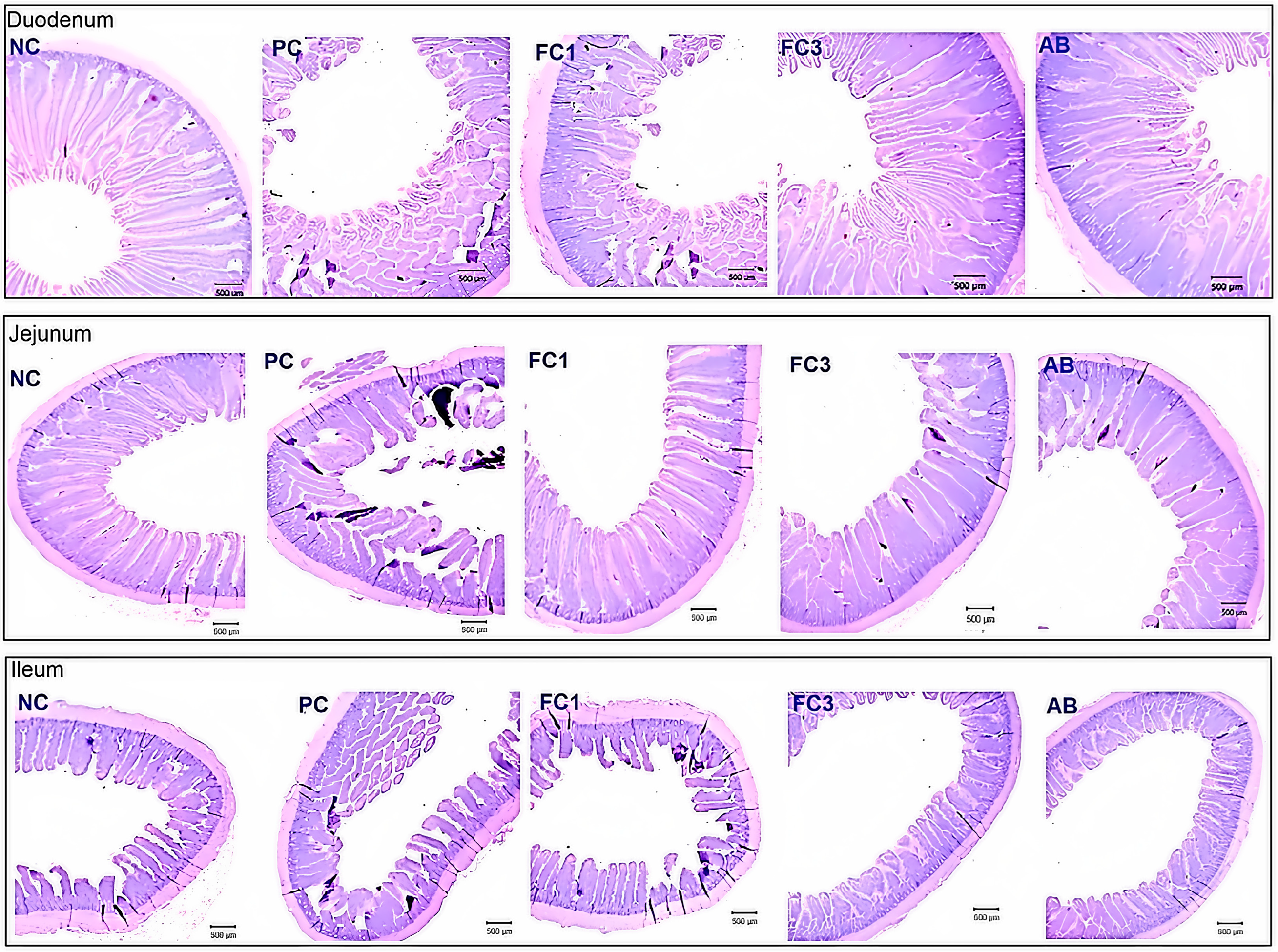 Fermentation 11 00277 g004