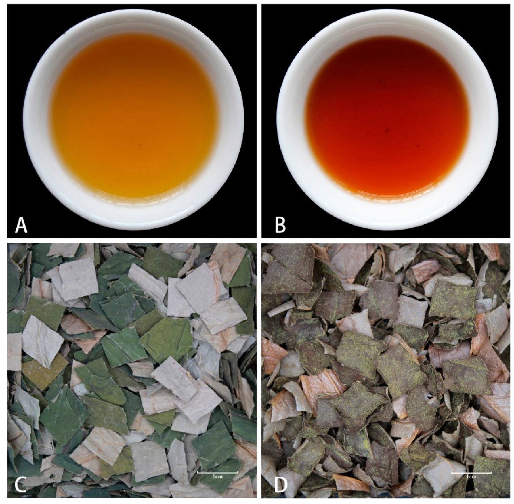 Fermentation 11 00279 g001