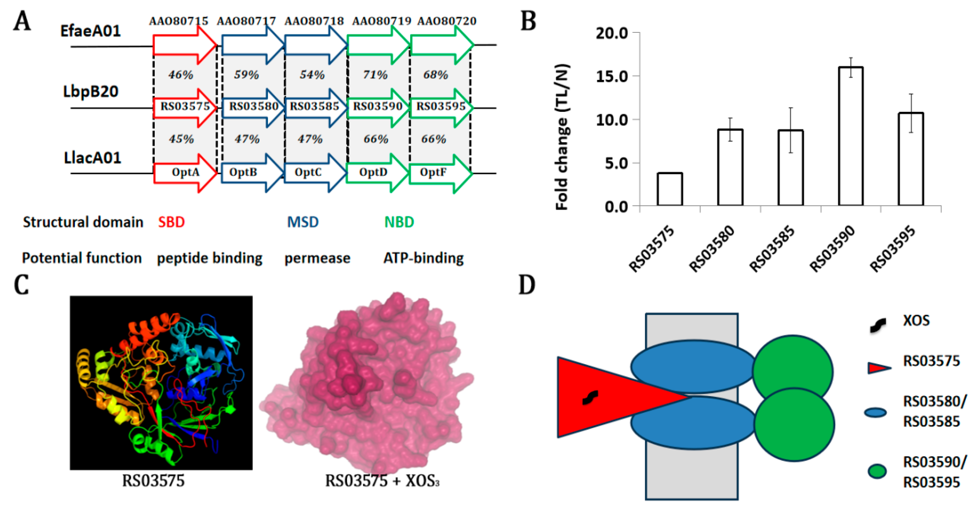 Fermentation 11 00280 g003